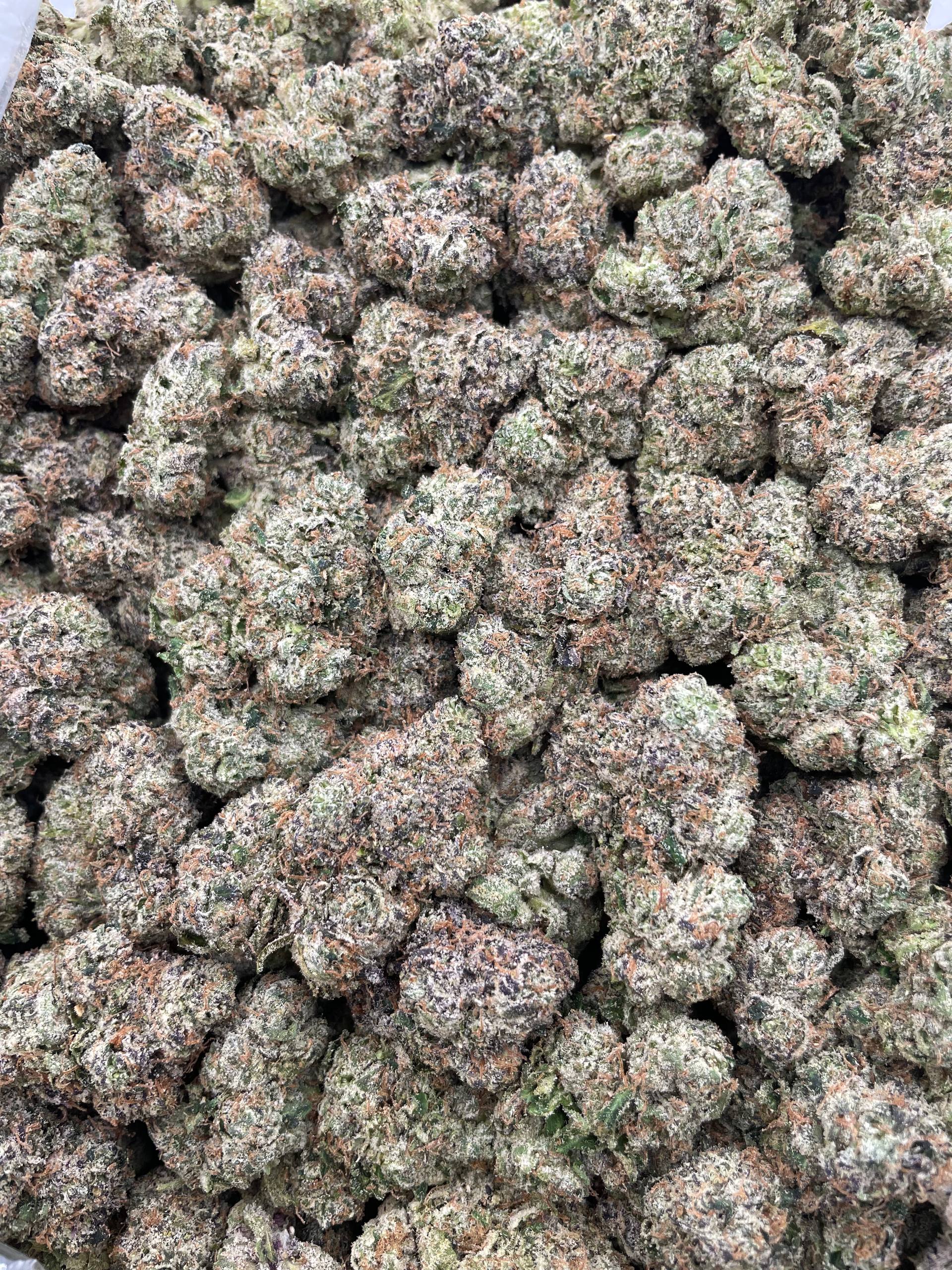 #R54X Hustle Candy (EXOTIC)