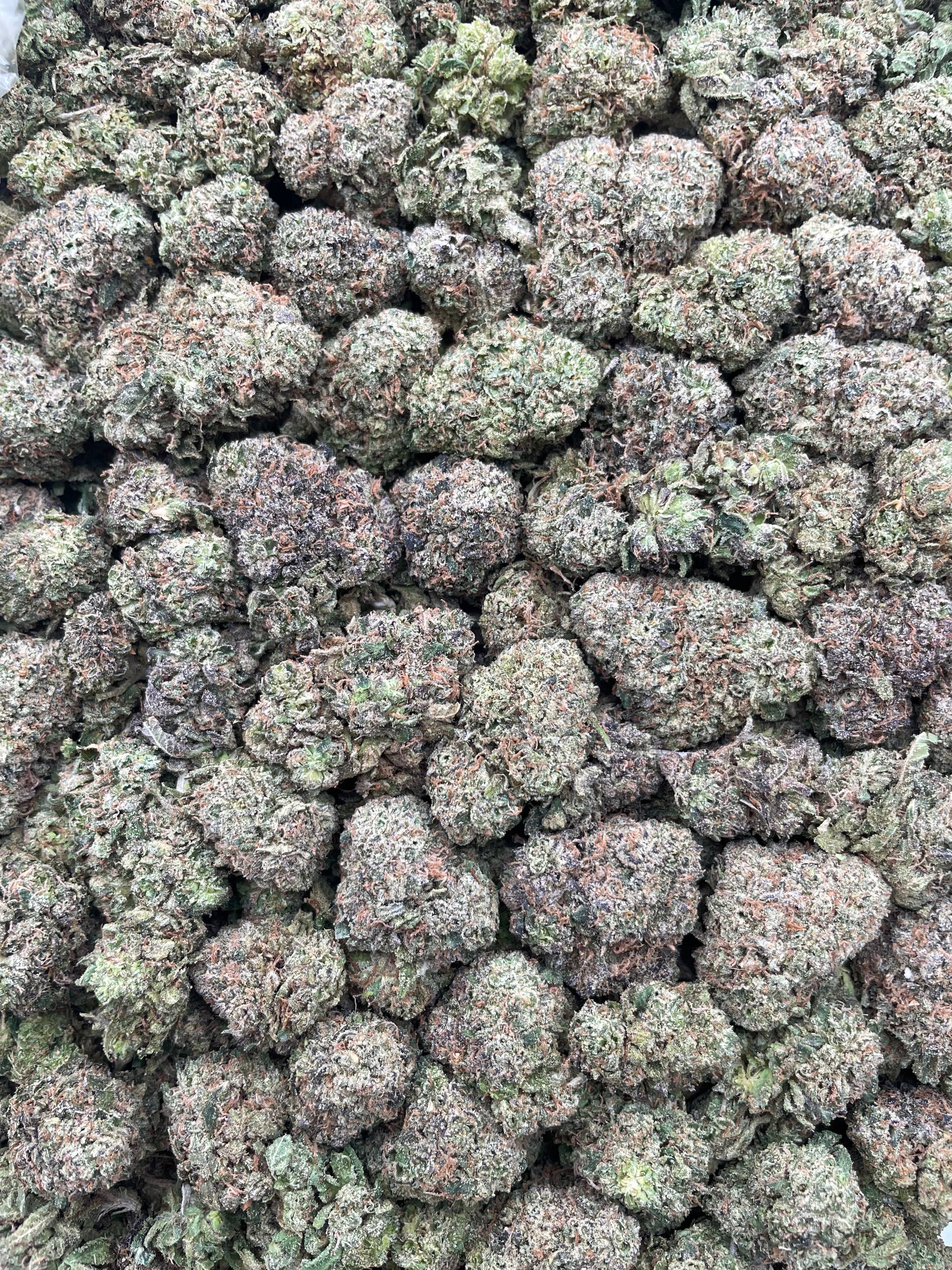 #G27C Green Goblin (INDOOR)