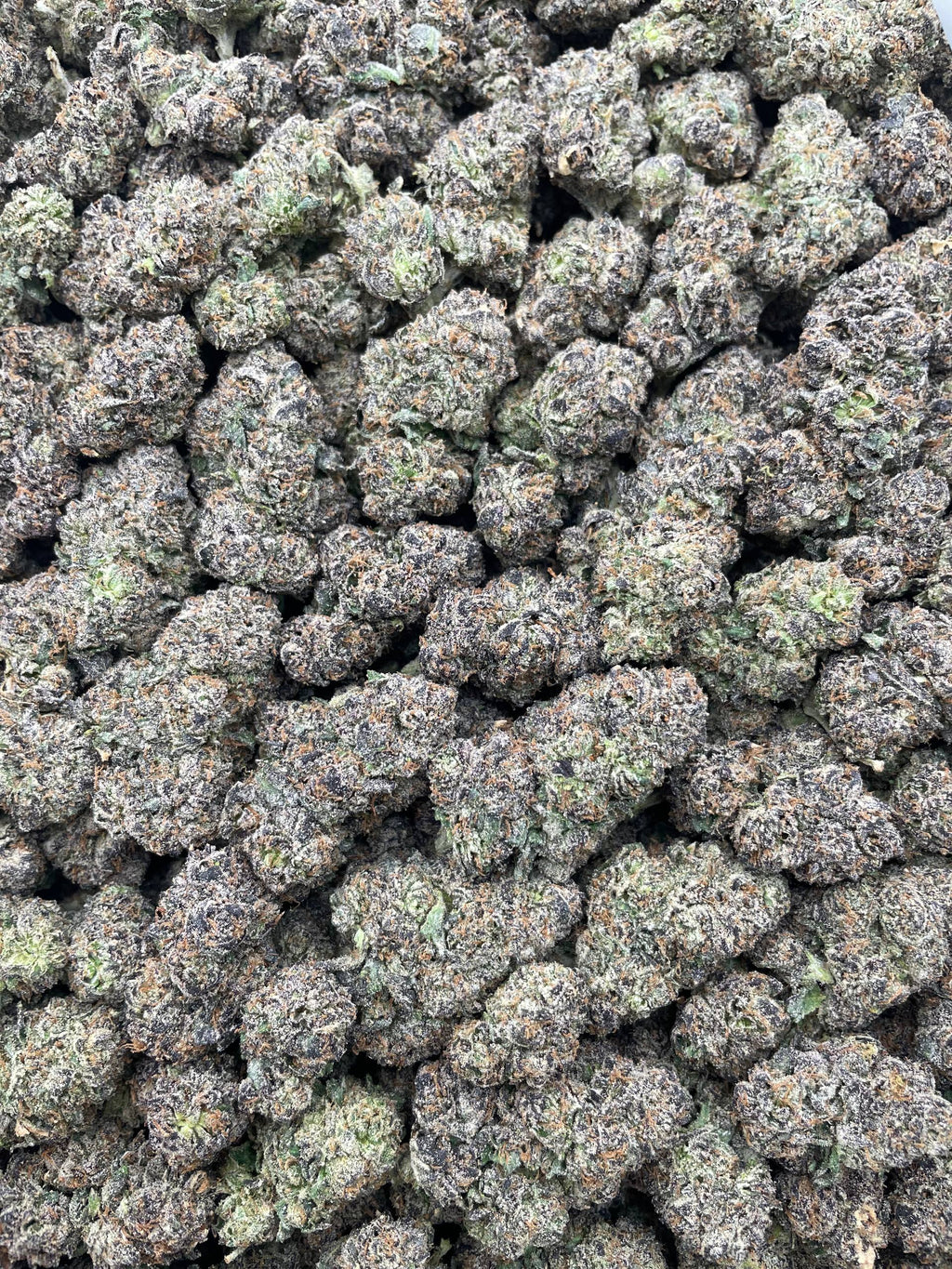 #F24B Melted Lollipops (INDOOR) (LICENSED)