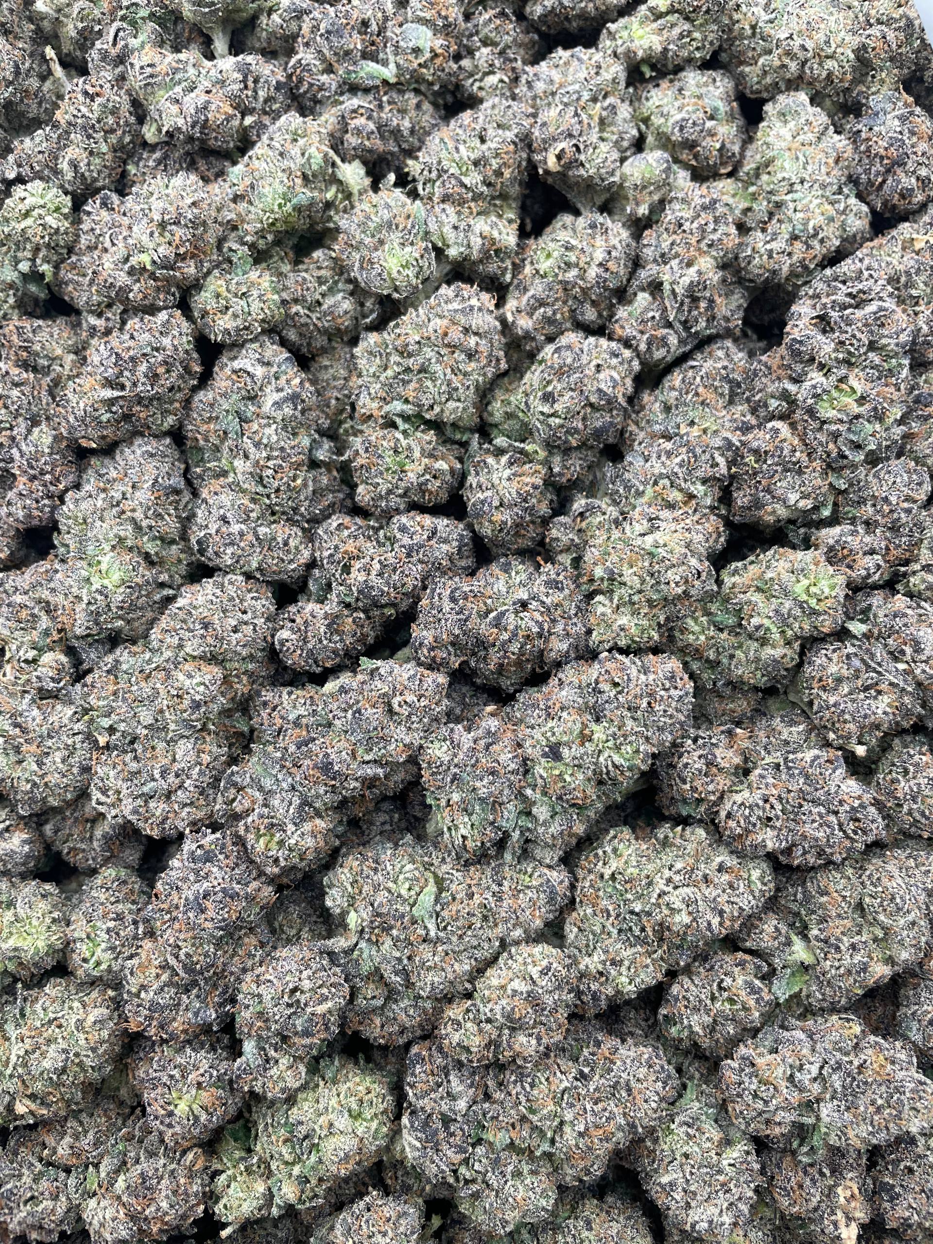 #F24B Melted Lollipops (INDOOR) (LICENSED)