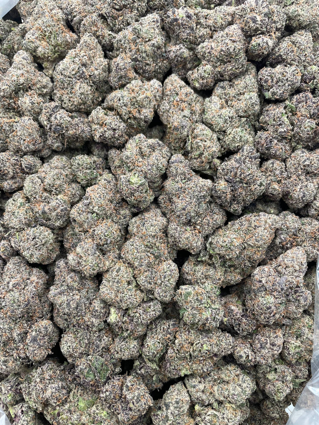 #F18B Trolli Sour Crawlers (INDOOR) (LICENSED) (ORGANIC)