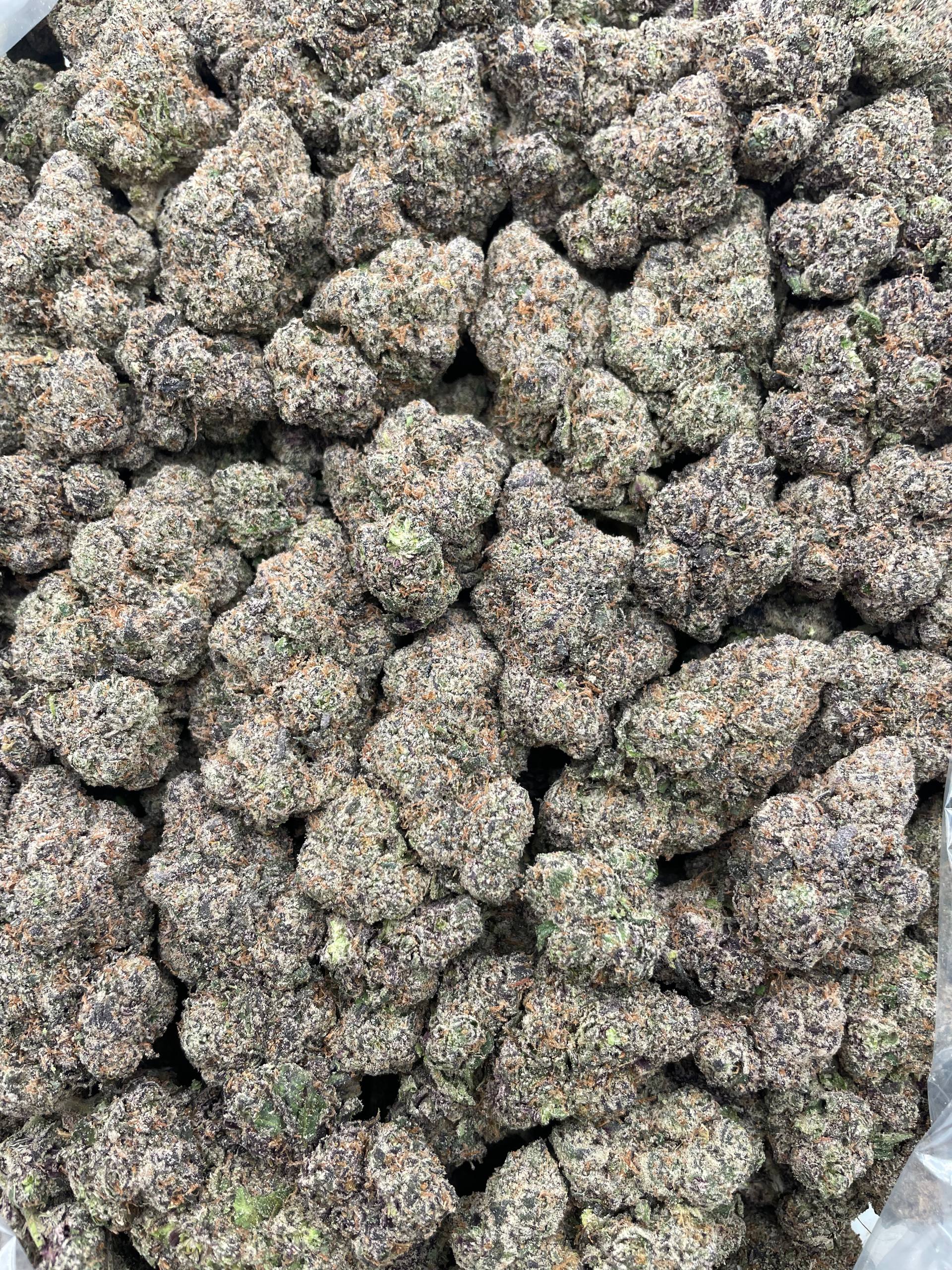 #F18B Trolli Sour Crawlers (INDOOR) (LICENSED) (ORGANIC)