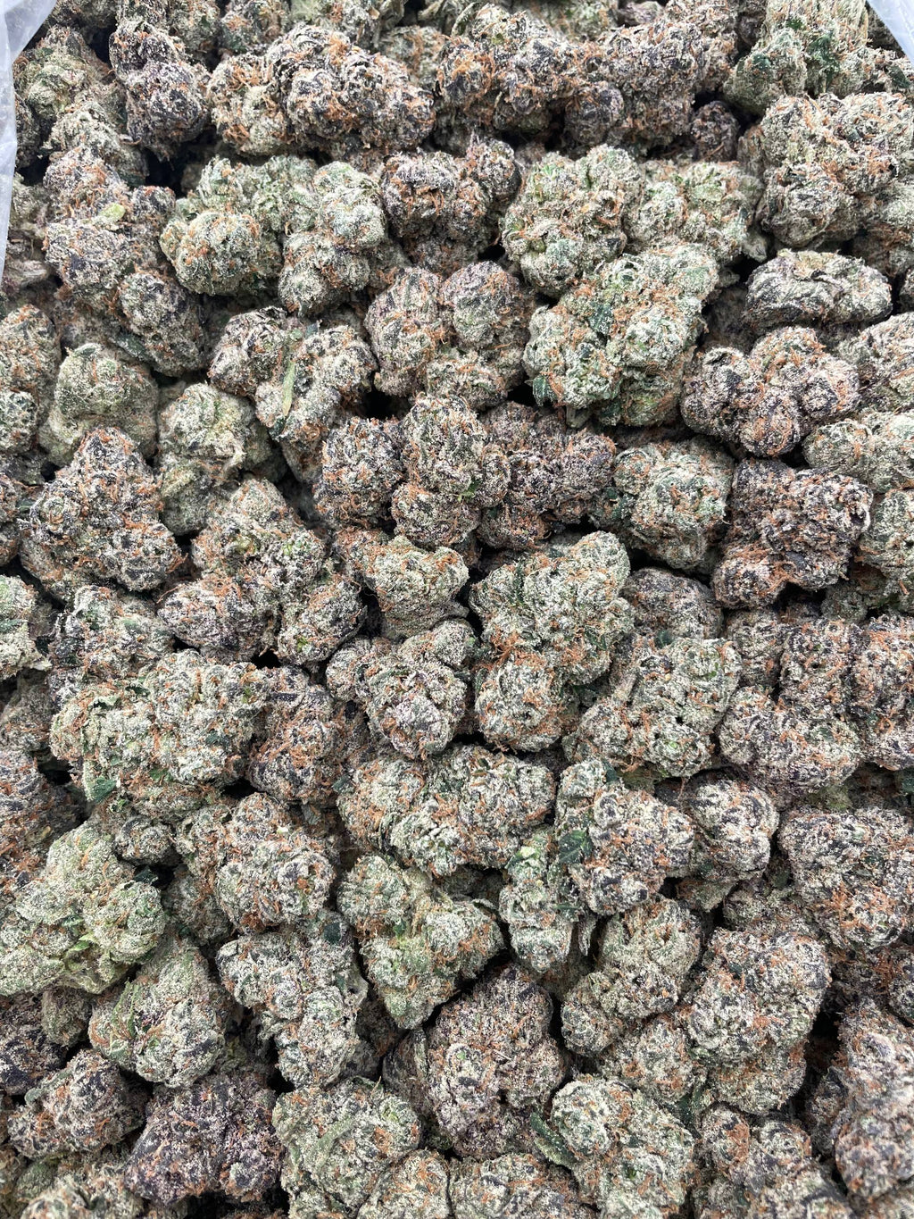 #R96X Sour Fizz Bombs (EXOTIC) (LICENSED)