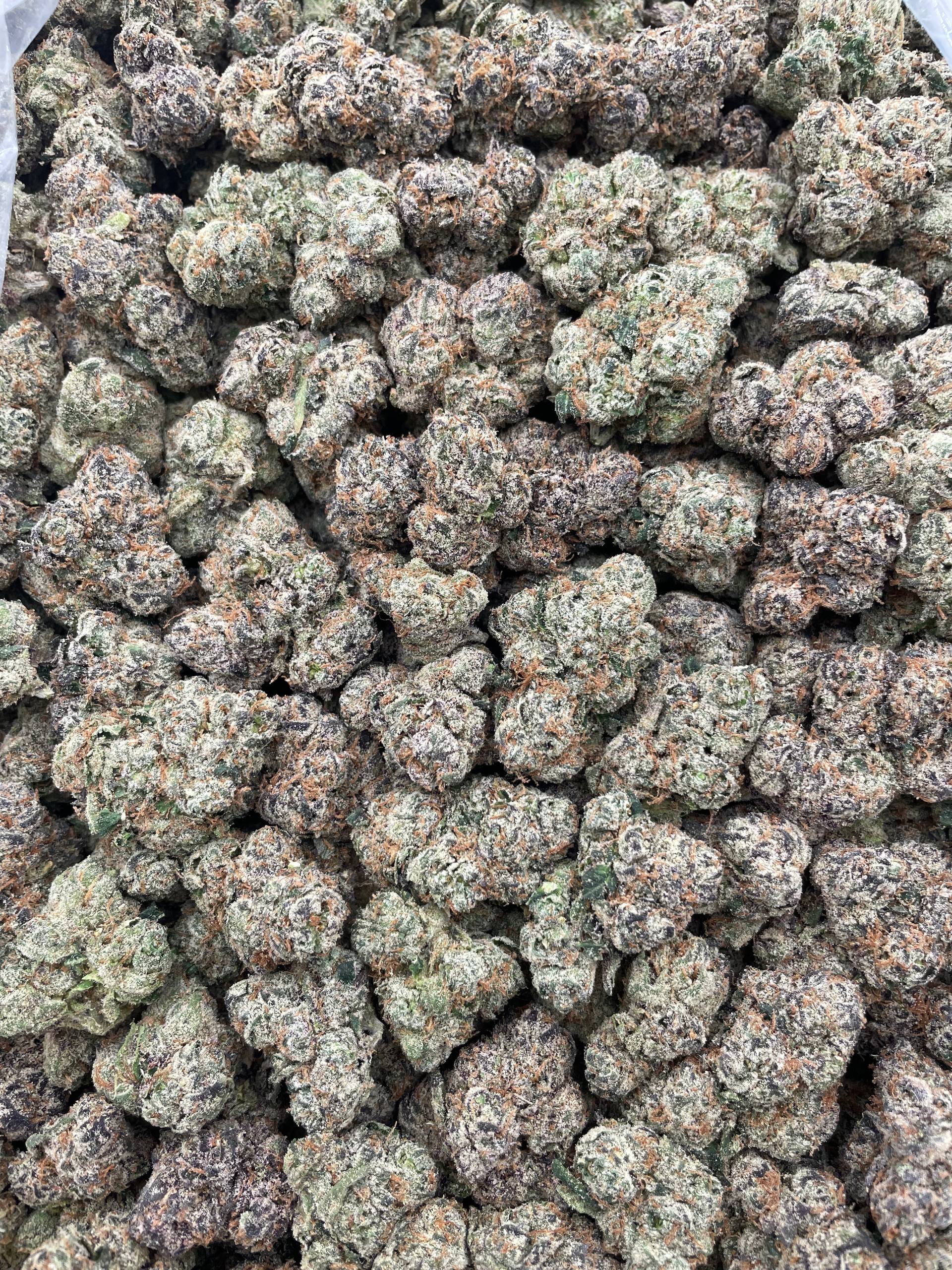 #R96X Sour Fizz Bombs (EXOTIC) (LICENSED)