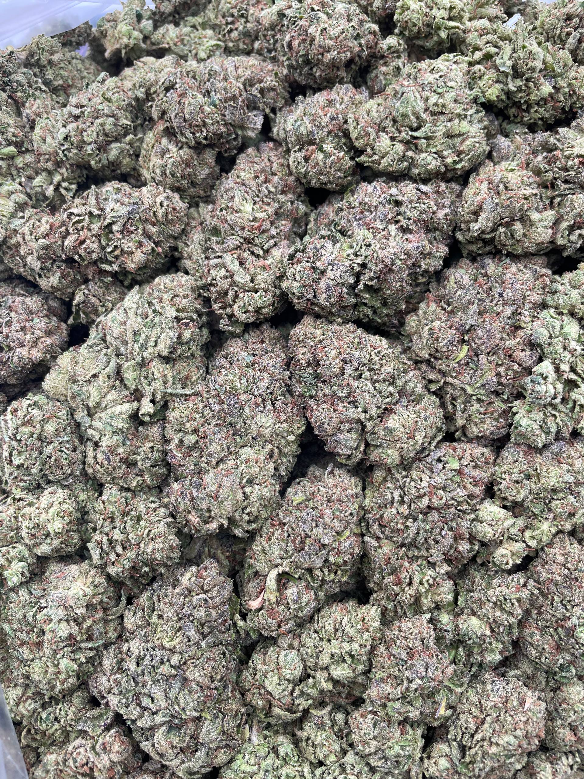 #H3C Lollipoppers (MIXED LIGHT)