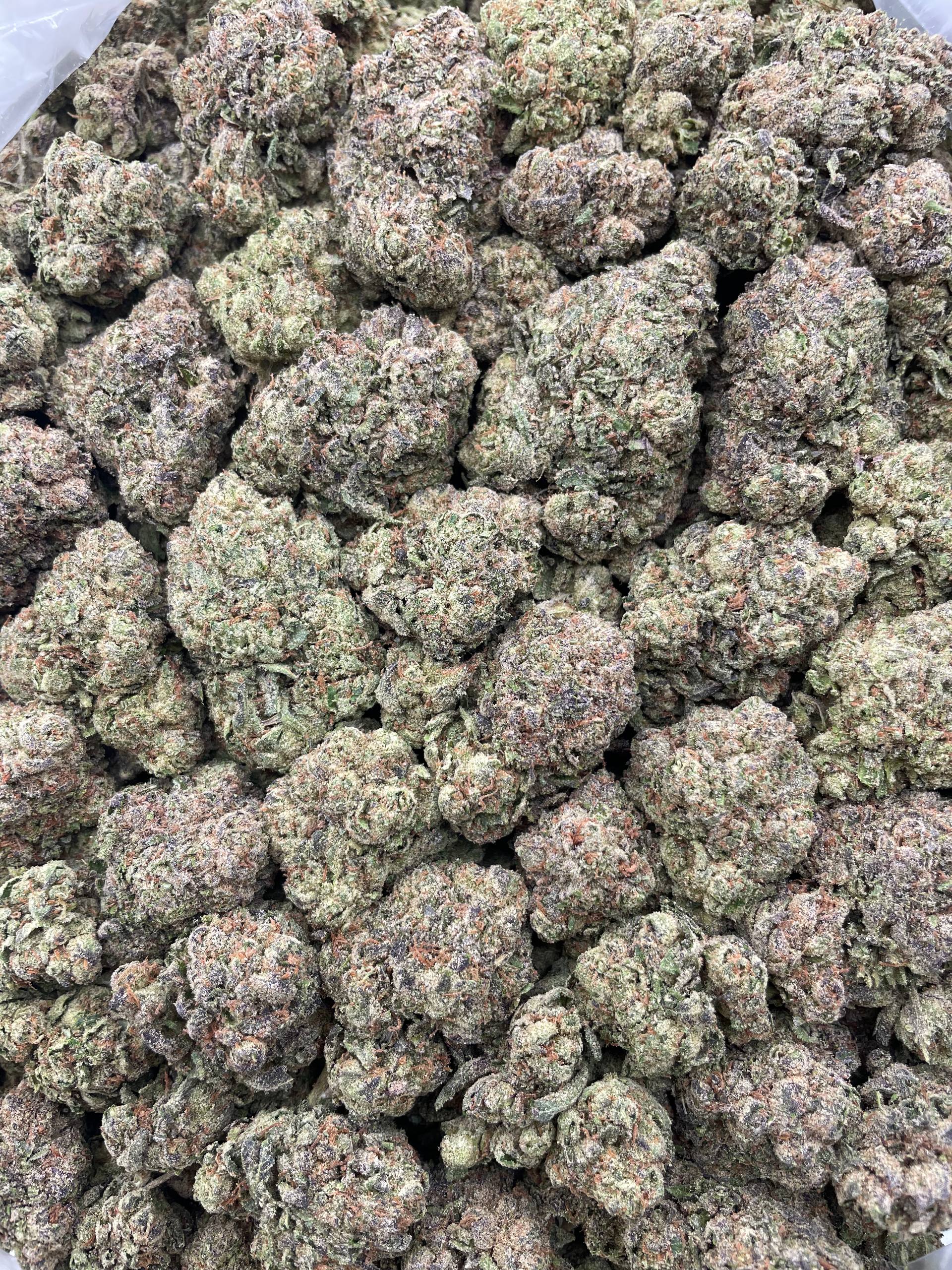 #G15C Candypop (MIXED LIGHT)