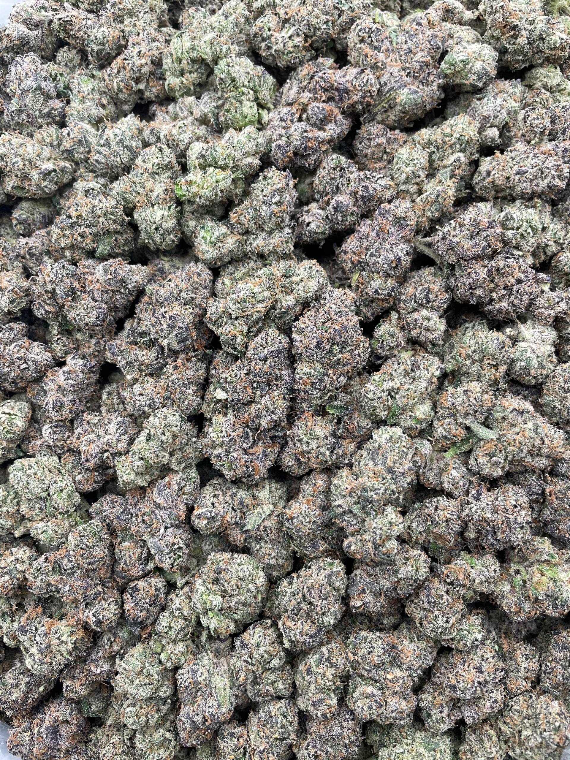 #G37C Frozen Lemonade (INDOOR) (LICENSED)