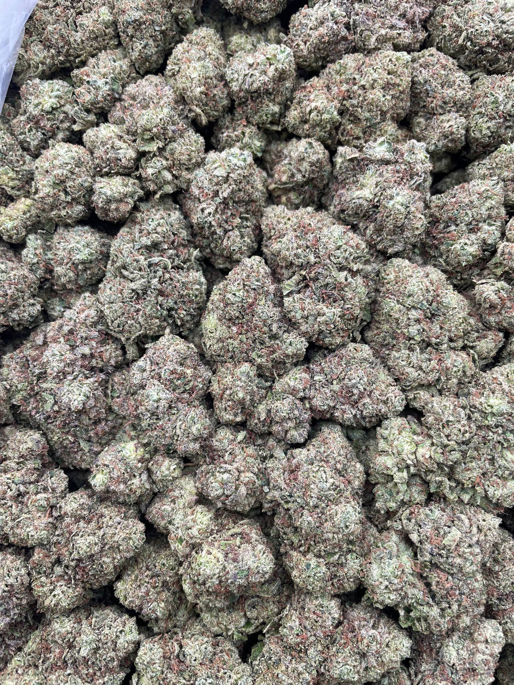 #F7C Comeup Candy (INDOOR)