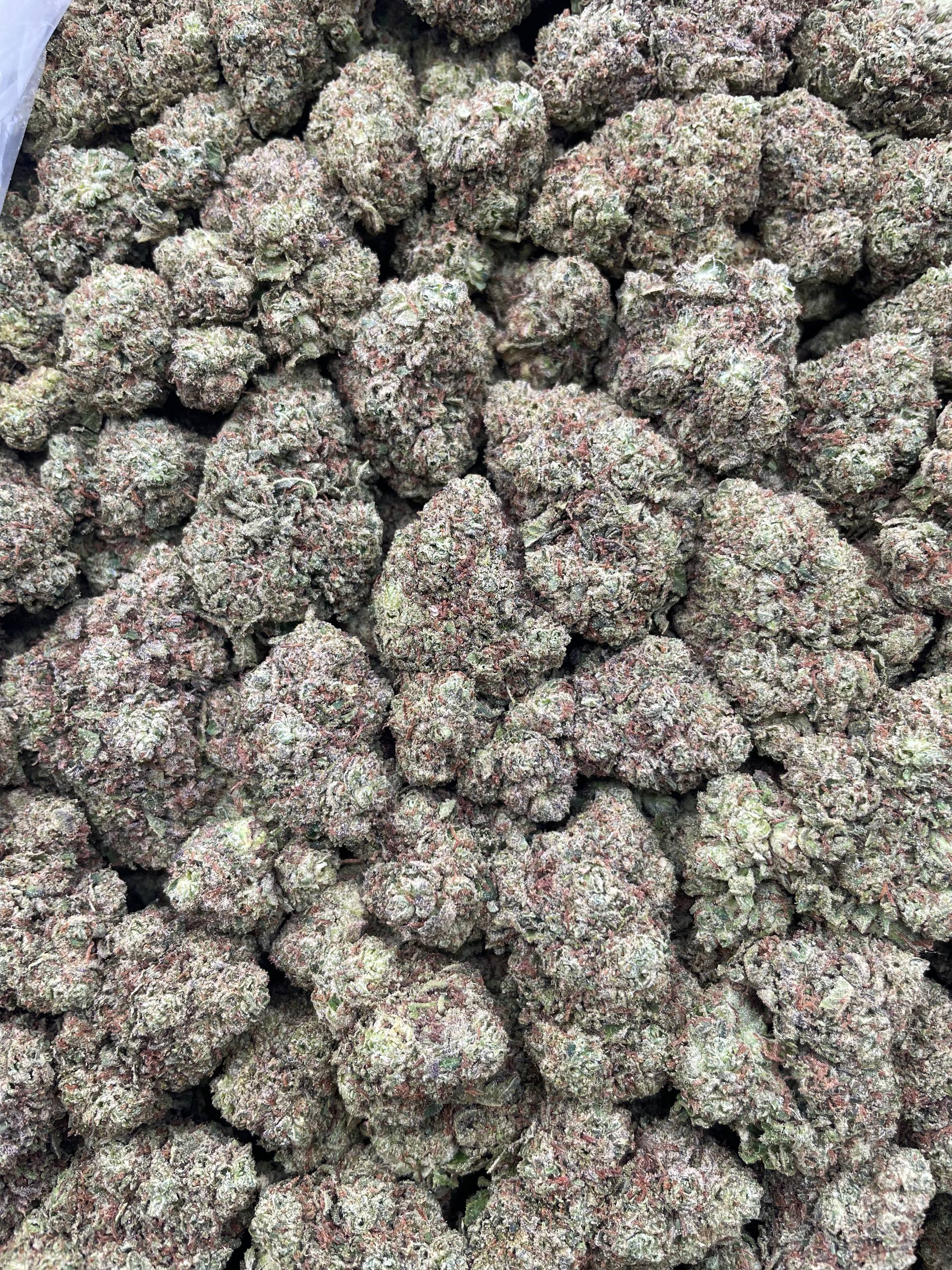 #F7C Comeup Candy (INDOOR)
