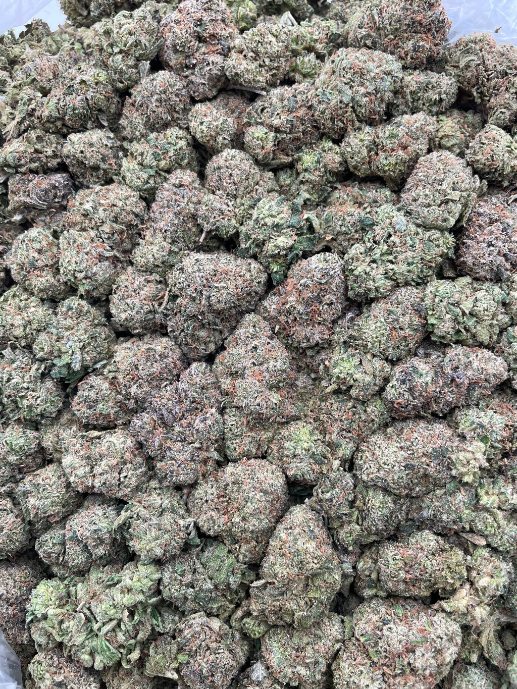 #F32A Rainbow Mochi (INDOOR)