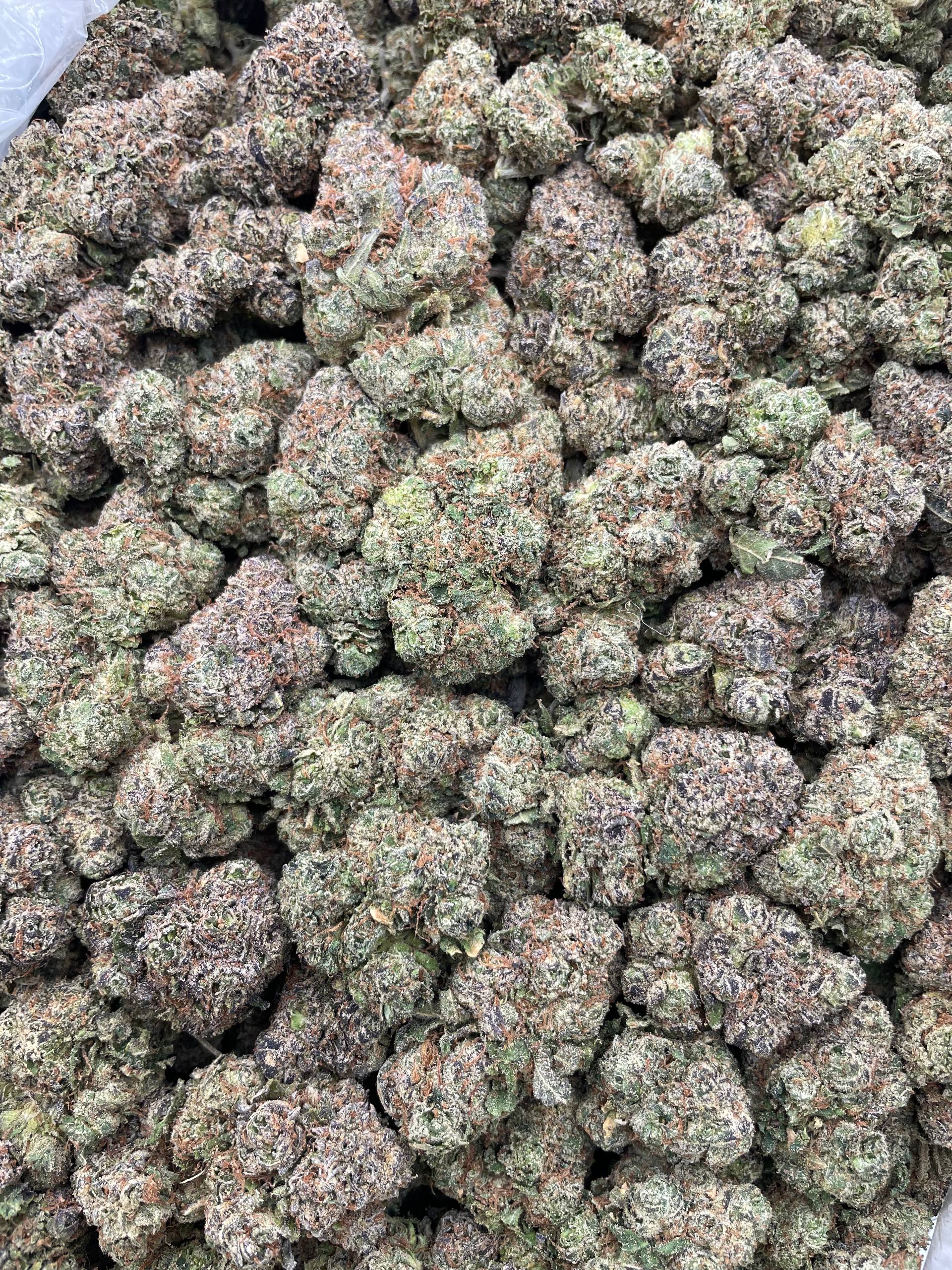 #H38C Lemon Poppers (INDOOR)
