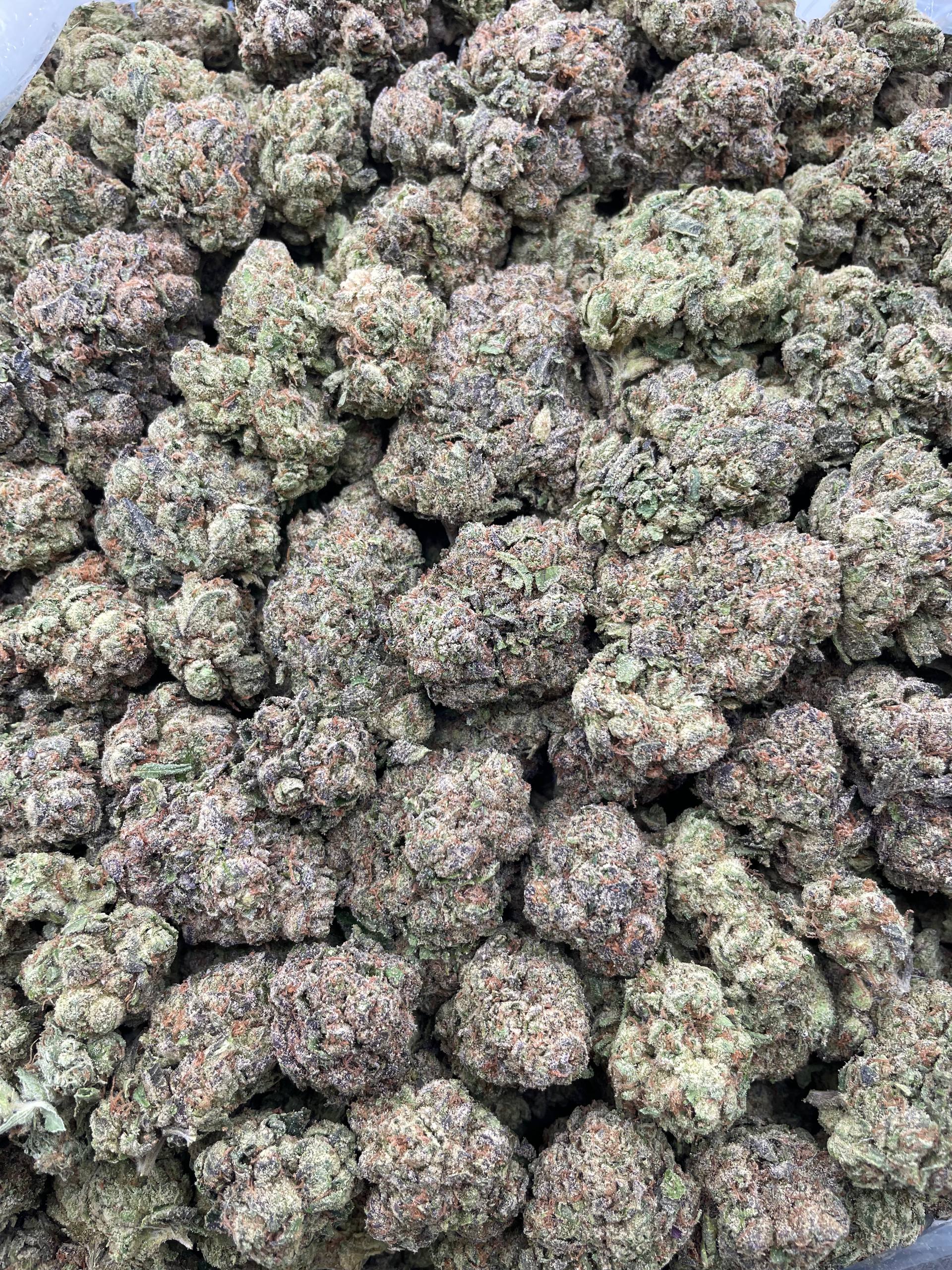 #H6A Sugar Booger (MIXED LIGHT)