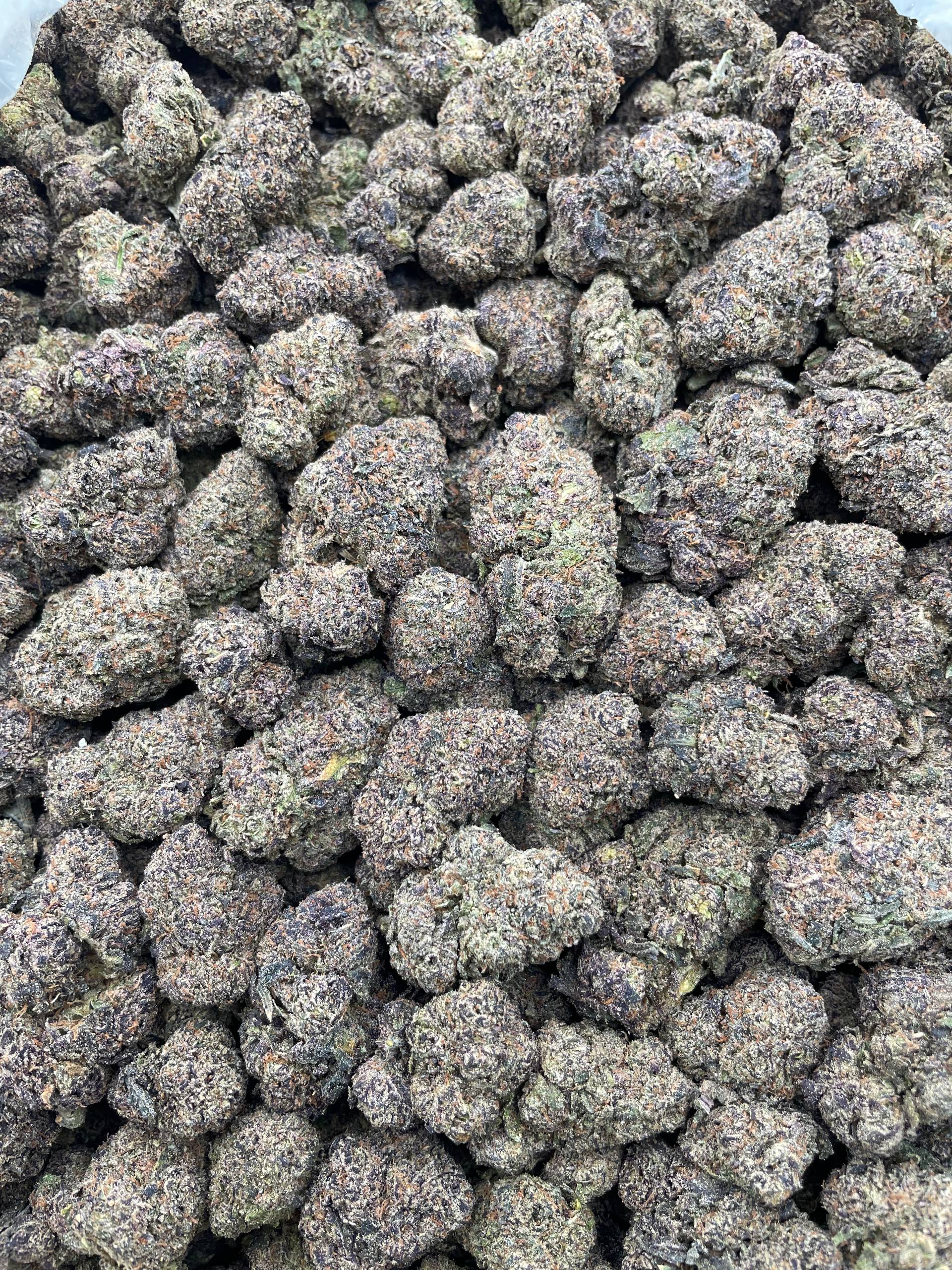 #E23B Tropic Runtzberry (INDOOR)