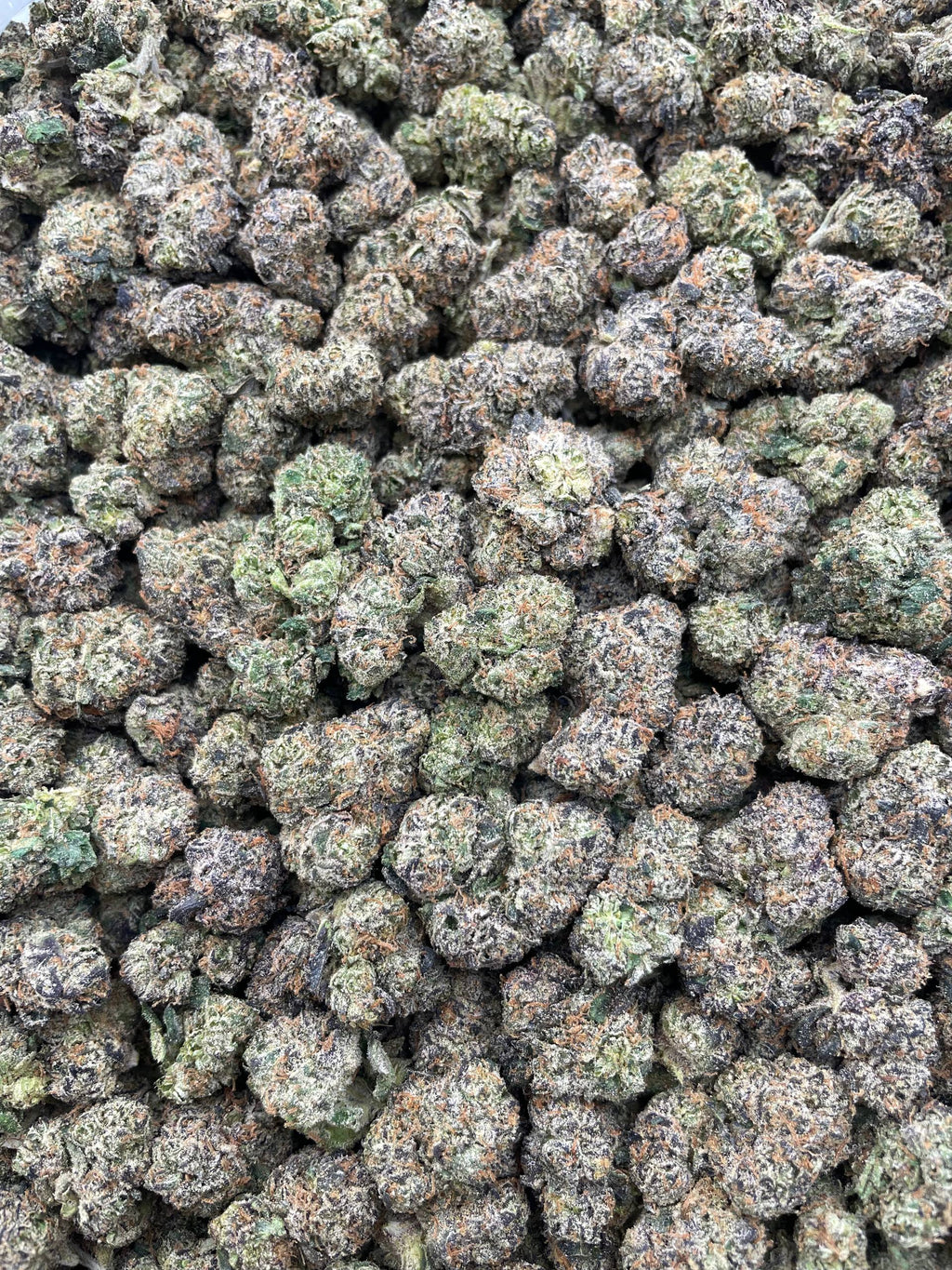 #G16C 91 Cherry Octane (INDOOR) (LICENSED)