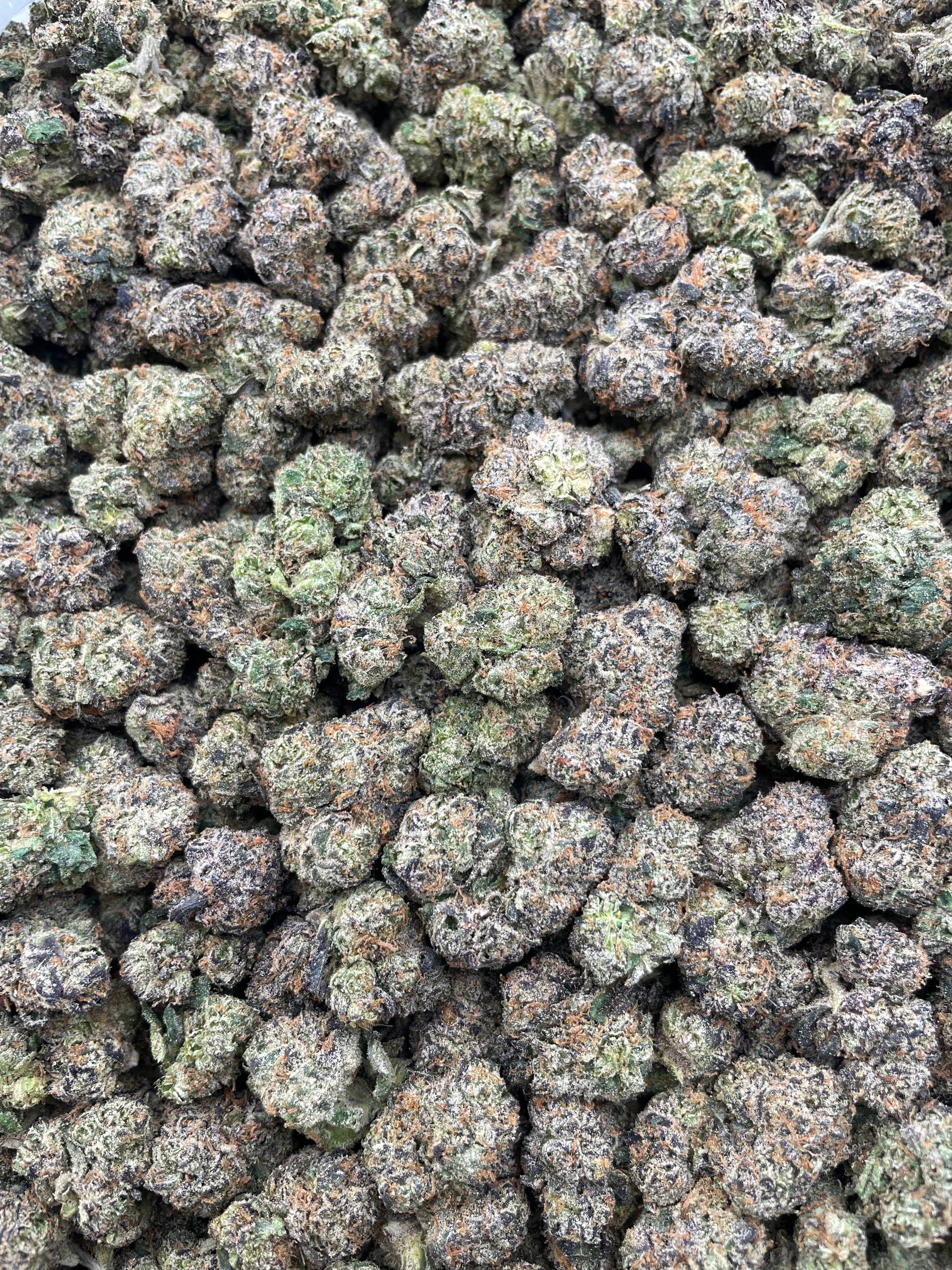 #G16C 91 Cherry Octane (INDOOR) (LICENSED)