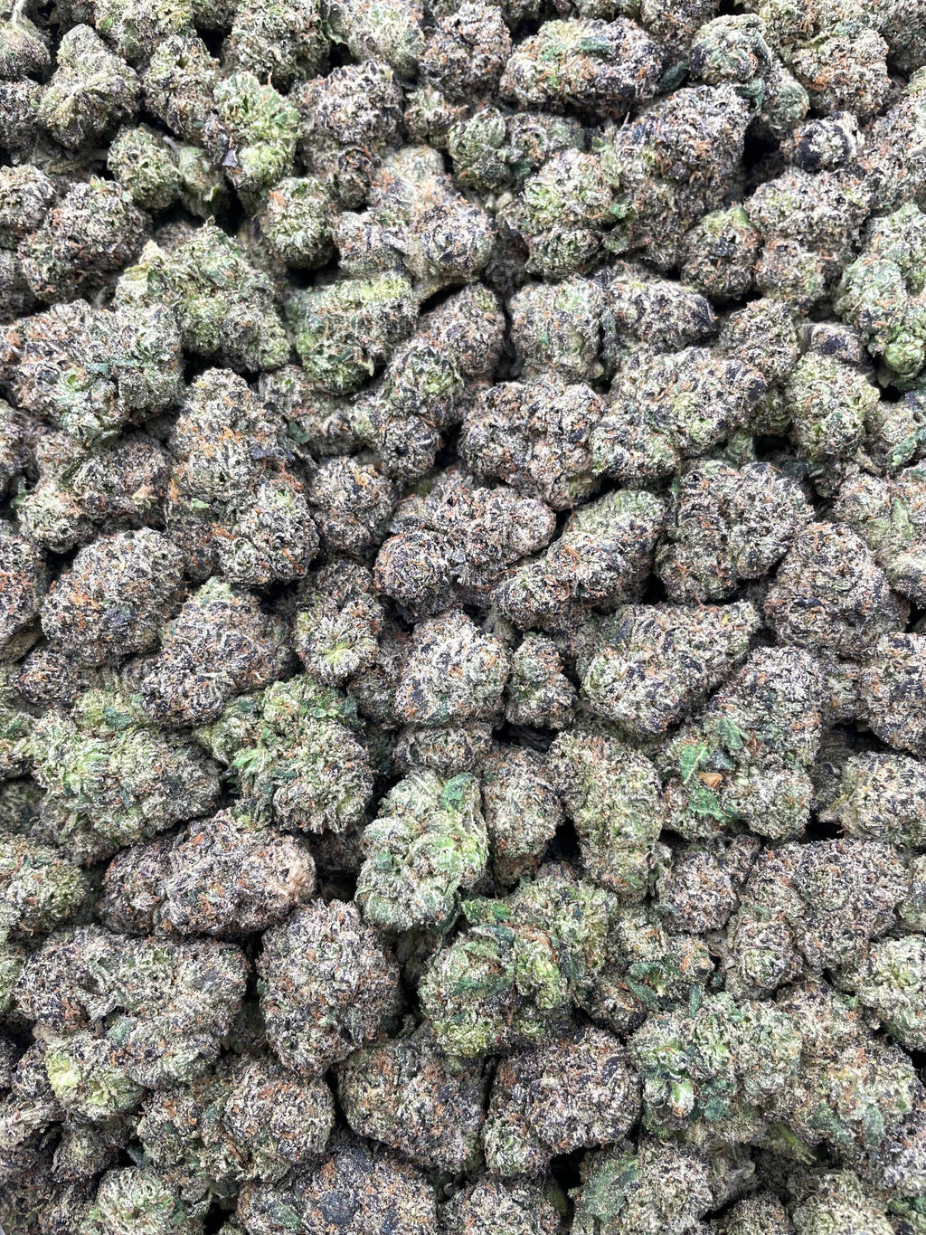 #G19B Emerald Candy Chews (INDOOR) (LICENSED)