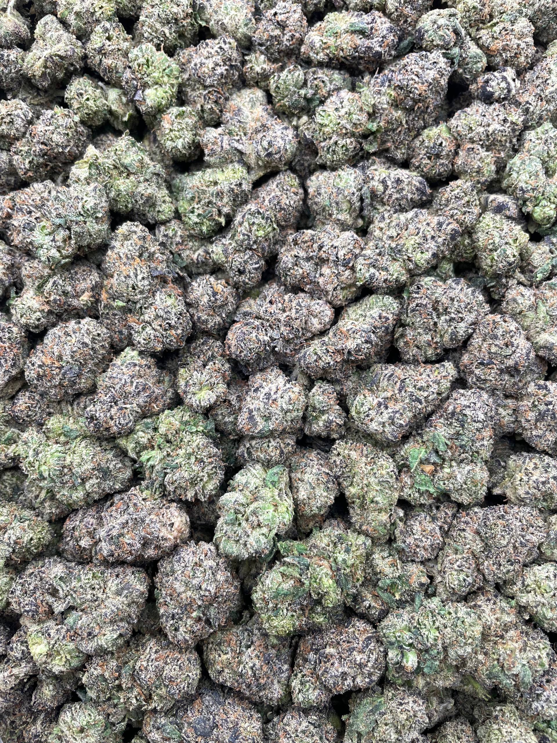 #G19B Emerald Candy Chews (INDOOR) (LICENSED)