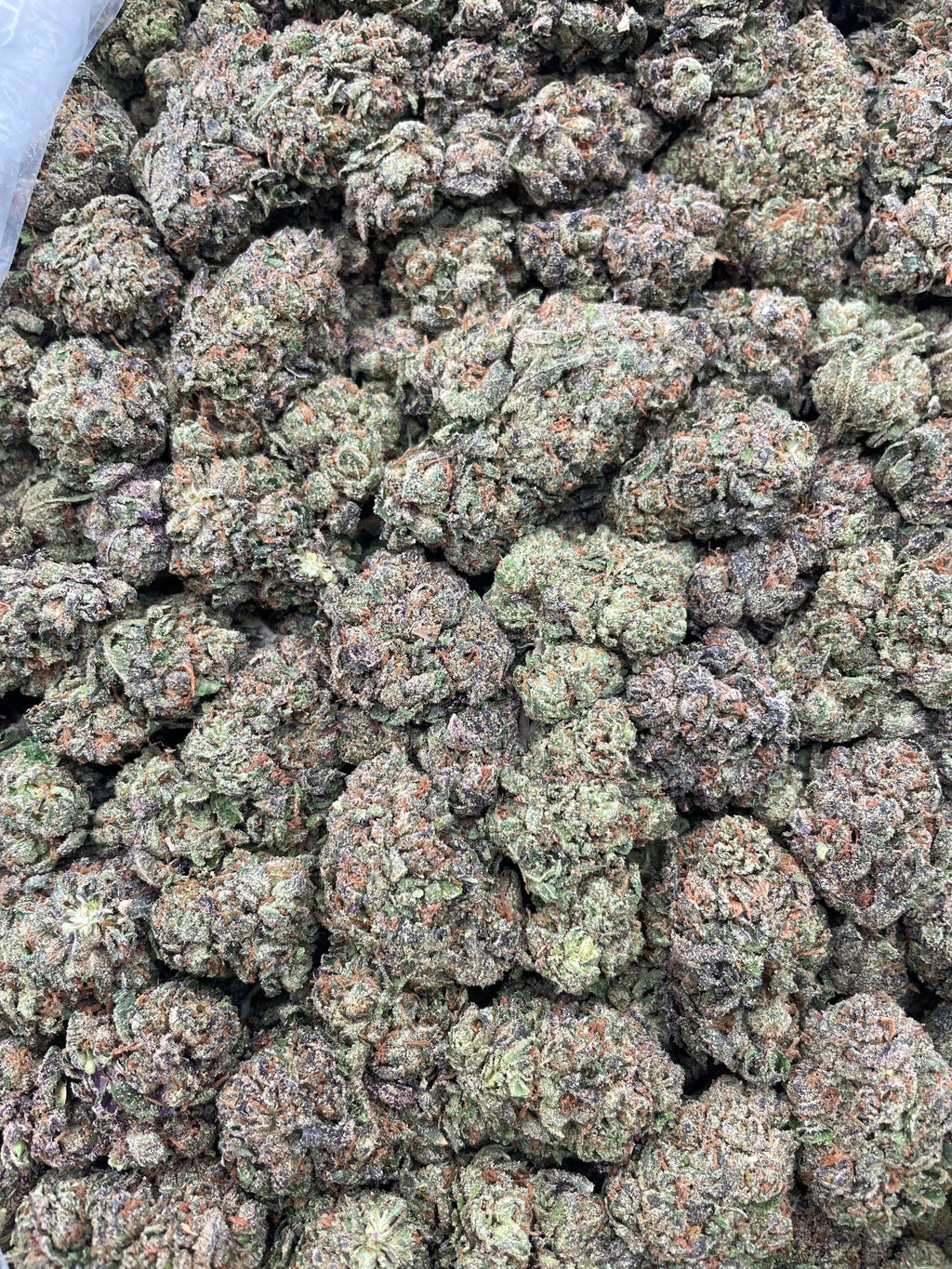 #J16 Double Cherry (MIXED LIGHT) (GIVEAWAY)