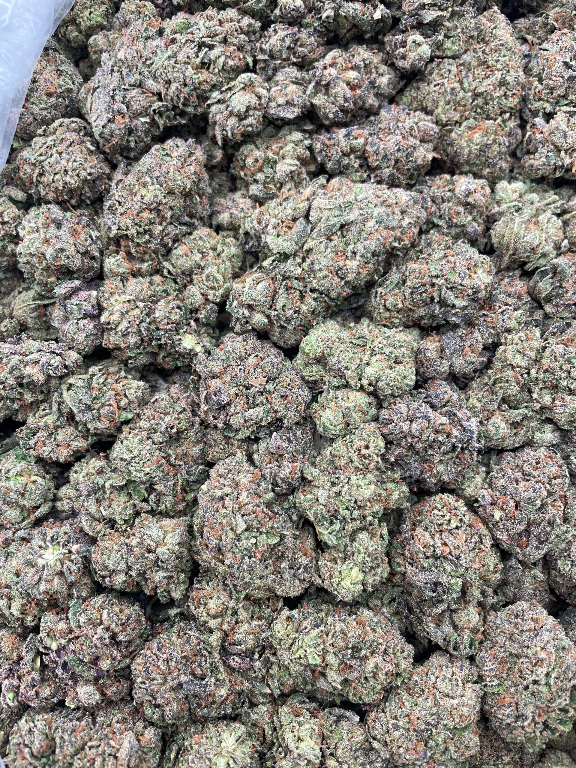 #J16 Double Cherry (MIXED LIGHT) (GIVEAWAY)