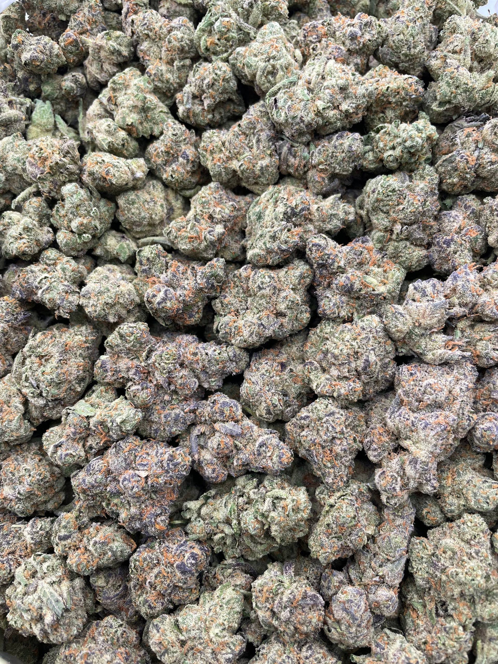 #R8C Sour Flashes (INDOOR) (LICENSED)