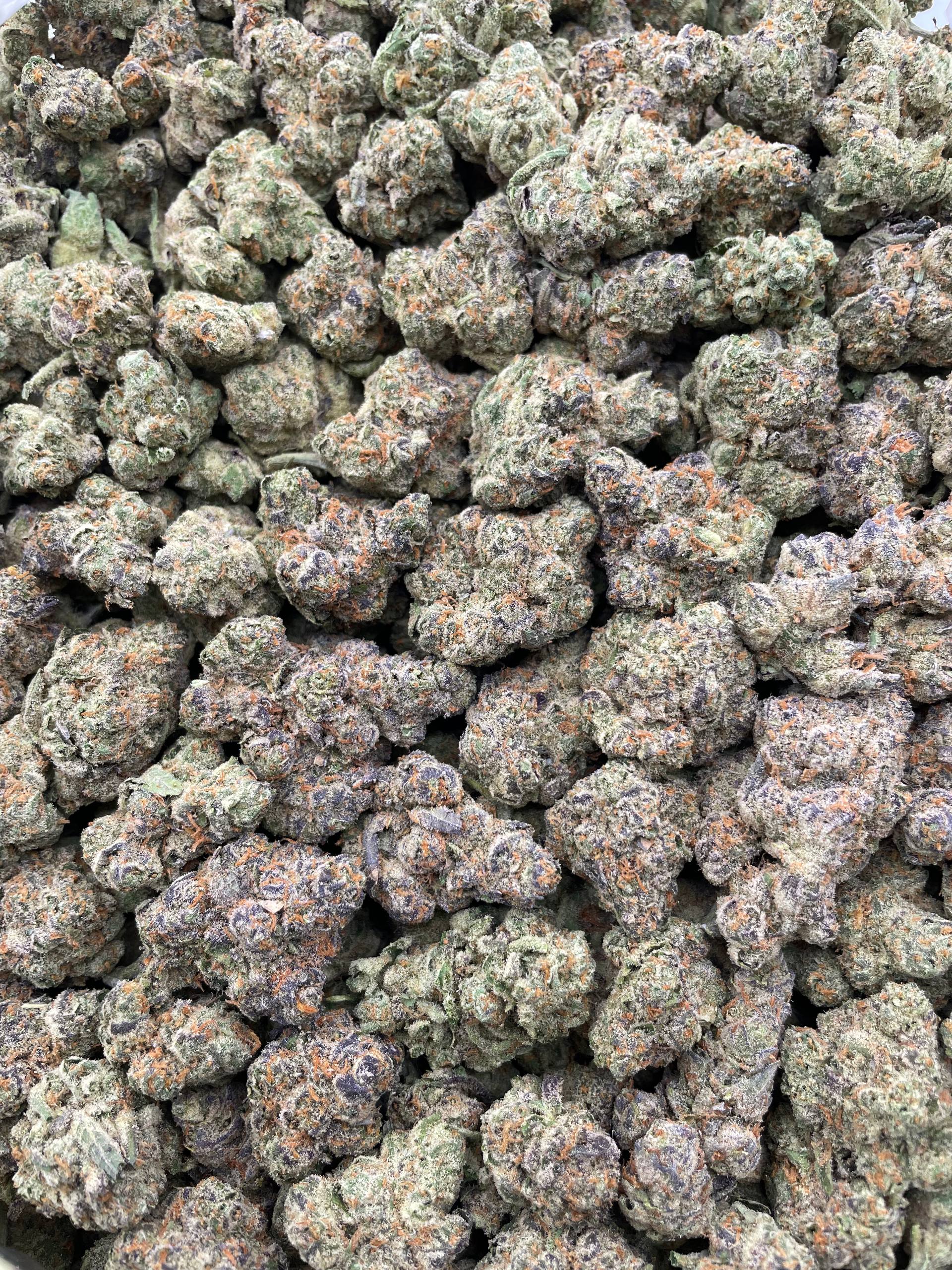#R8C Sour Flashes (INDOOR) (LICENSED)