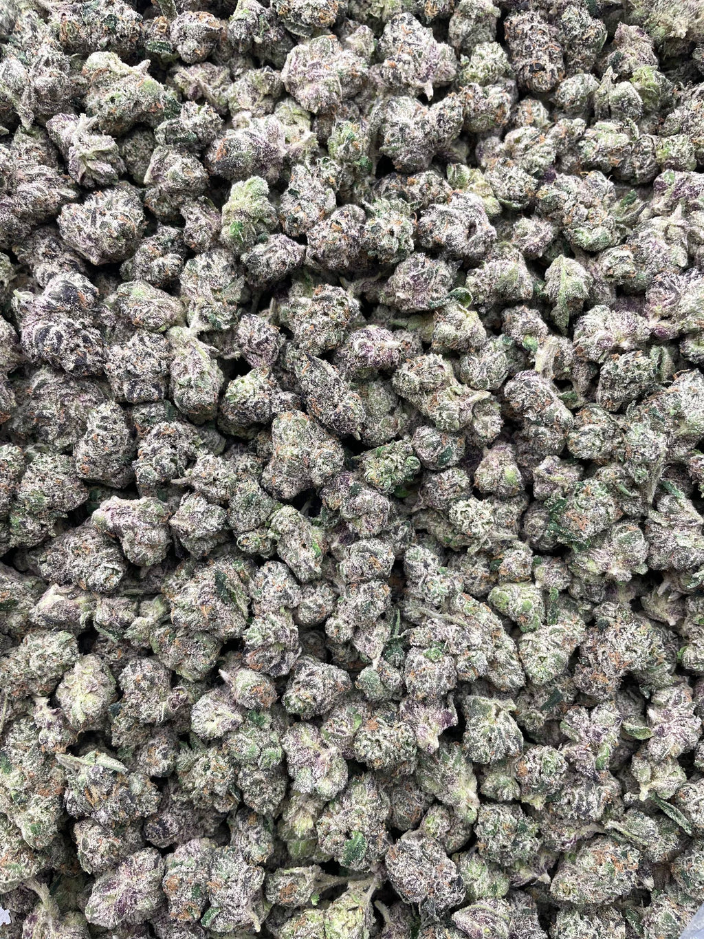 #E33A Candy Nitro (SMALLS) (LICENSED)
