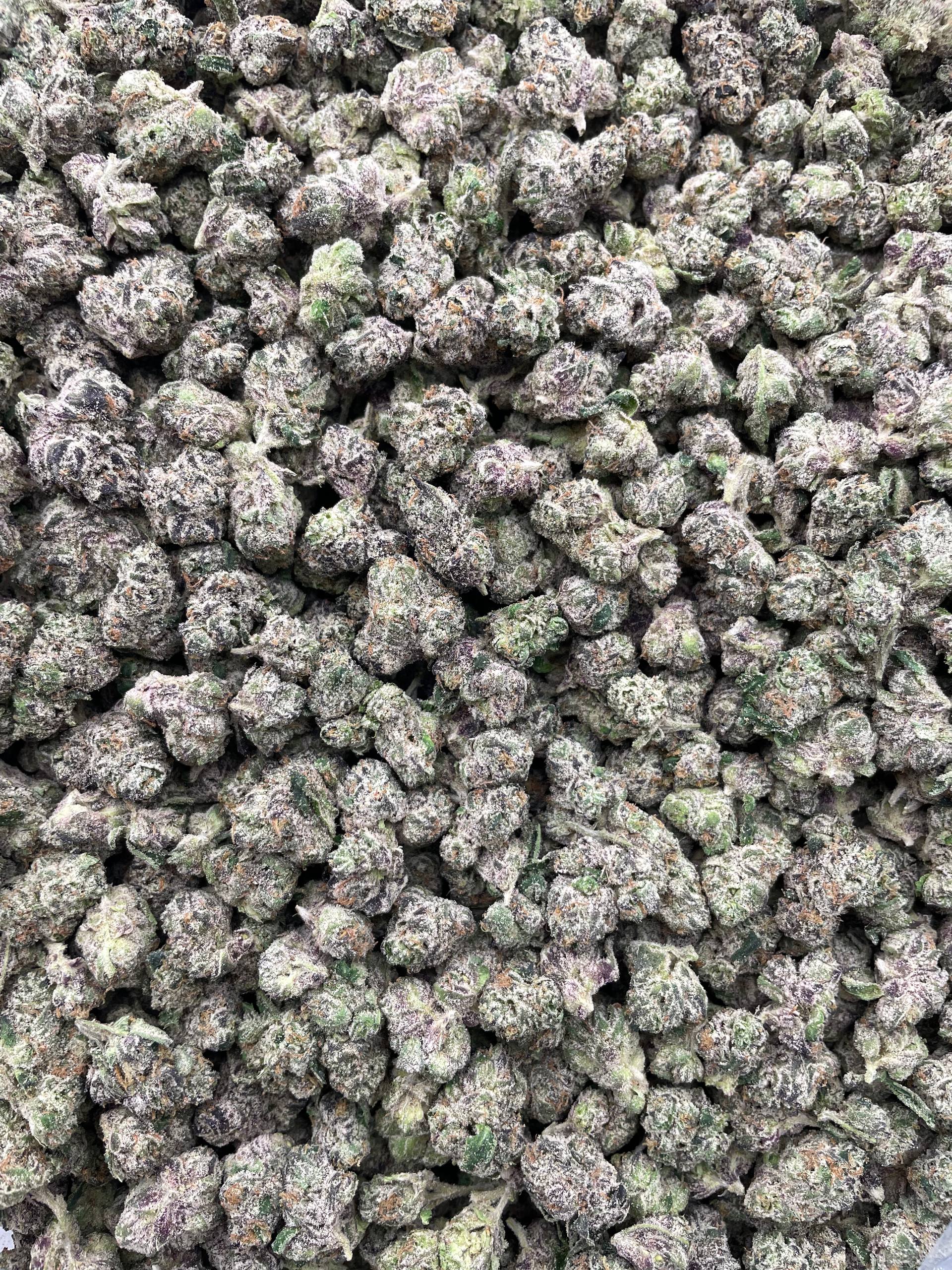 #E33A Candy Nitro (SMALLS) (LICENSED)