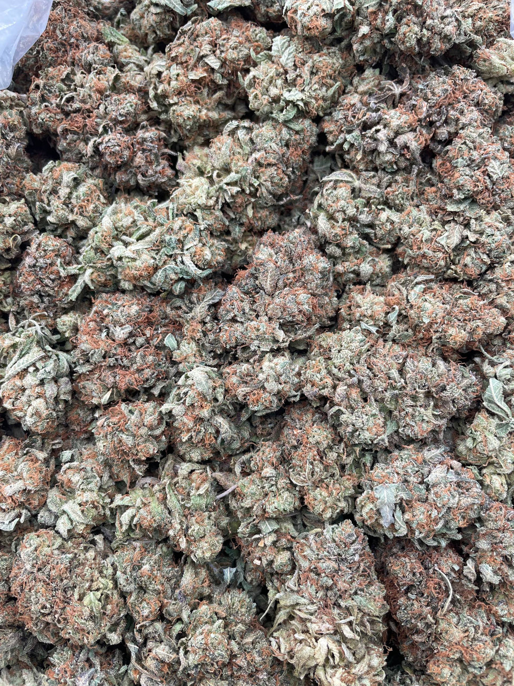 #F14B Super Bubba (INDOOR)