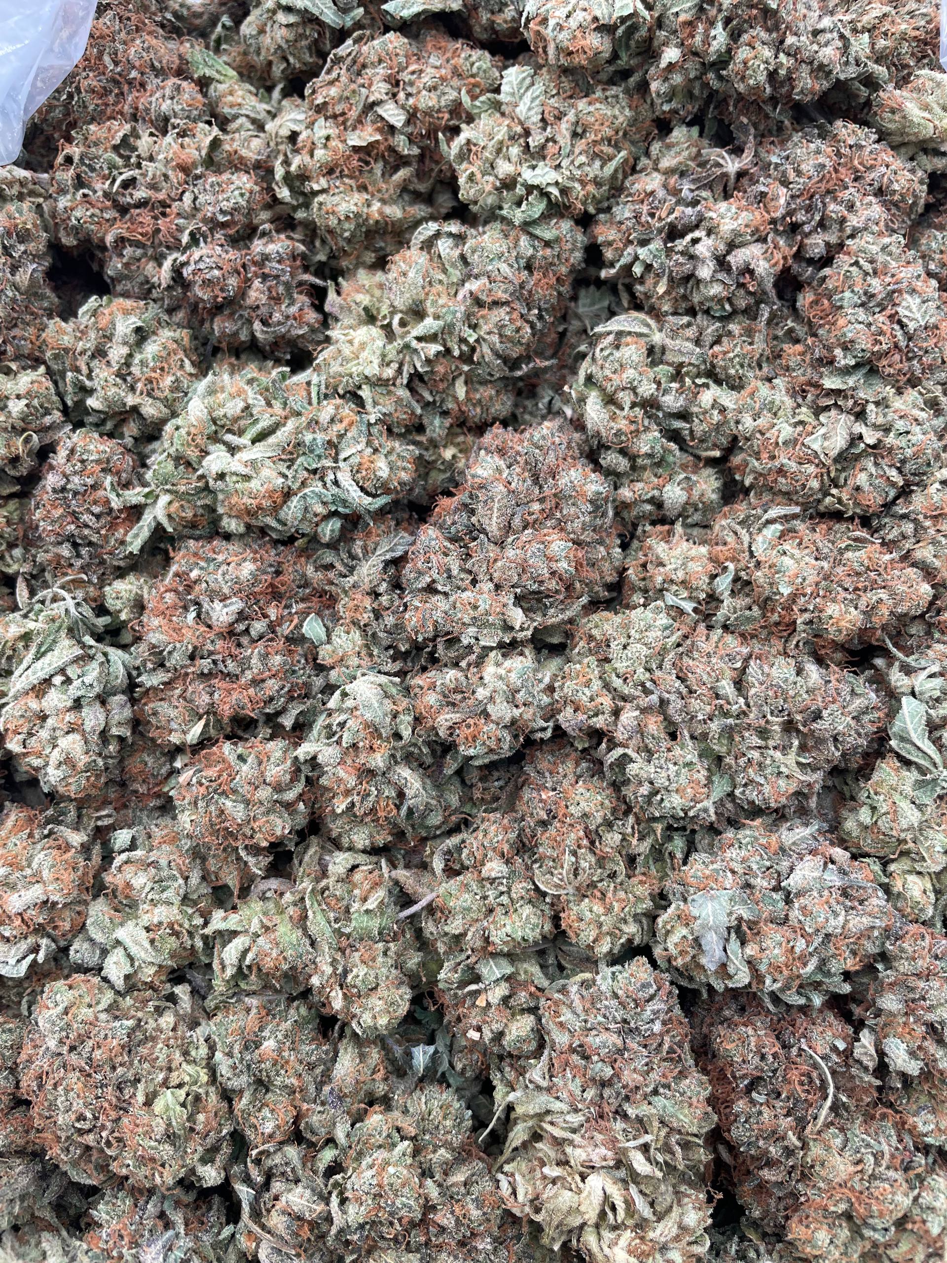 #F14B Super Bubba (INDOOR)