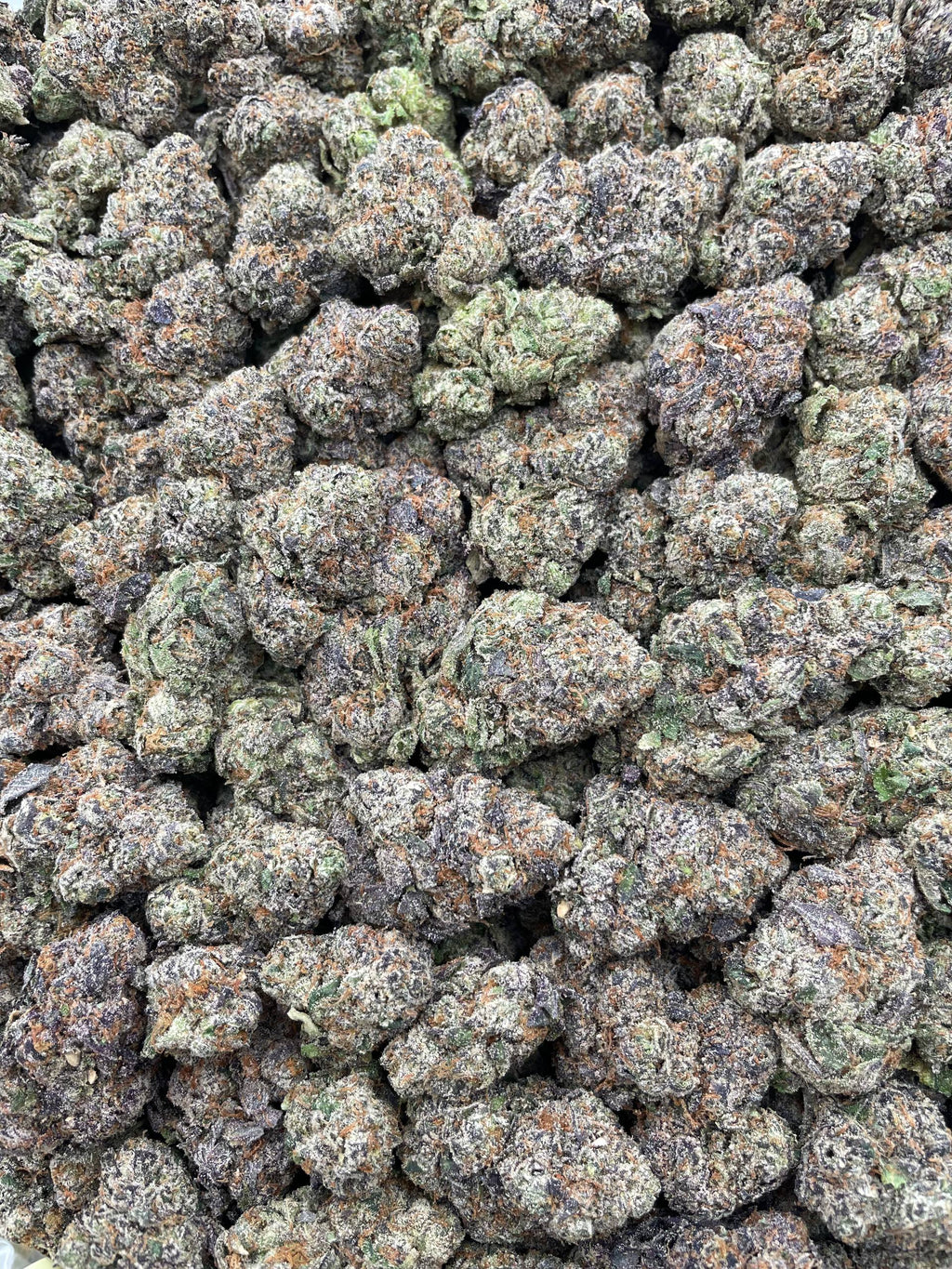 #H32B Space Candy (INDOOR)
