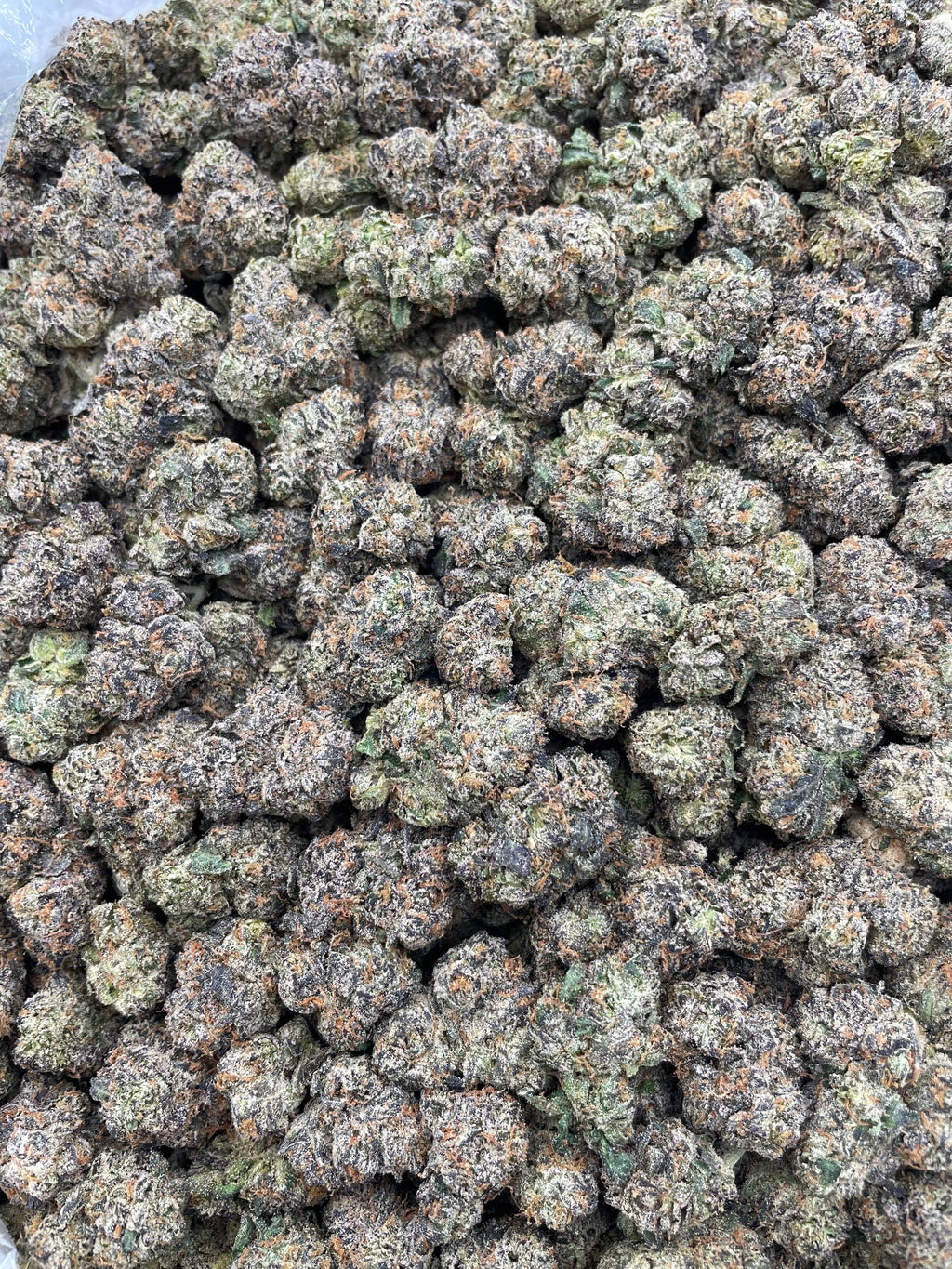 #G36B Lemon Cherry Reign (INDOOR)