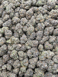 #H14C Bubblegumyum (INDOOR) (LICENSED)