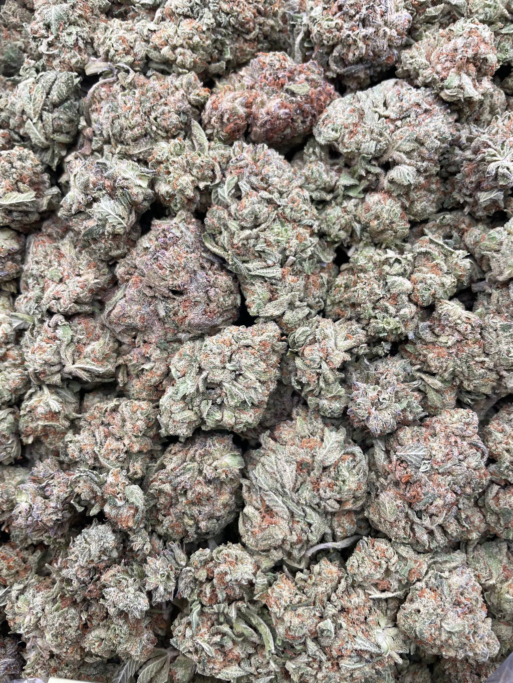 #H30B Gelato Cake (DEP)