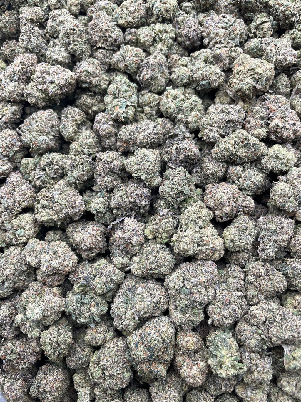 #L3A Joker Candy (MEDIUMS)