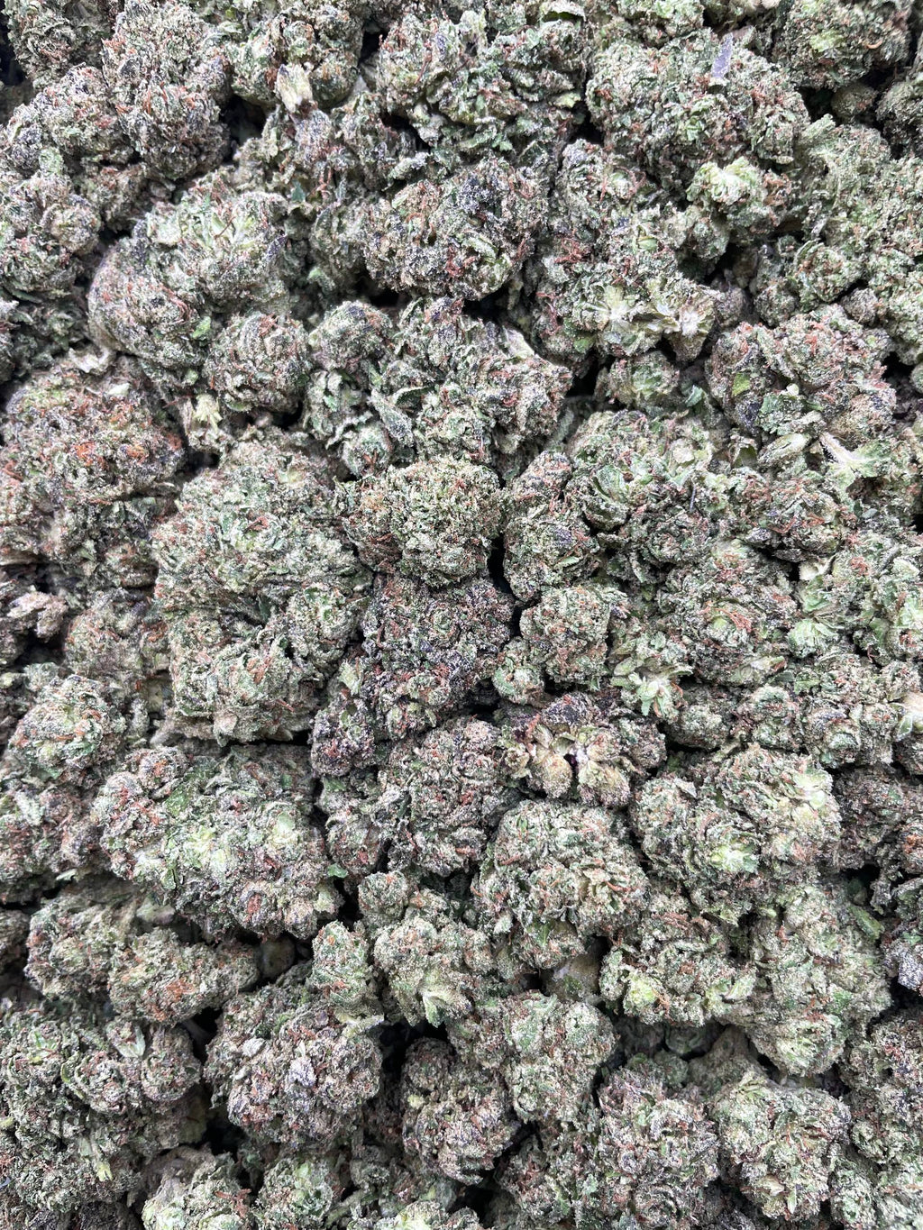 #E4A Cherry Poppers (MIXED LIGHT)