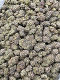 #H17A Gelato 41 (INDOOR)