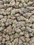 #H16A Berry Burner (INDOOR)
