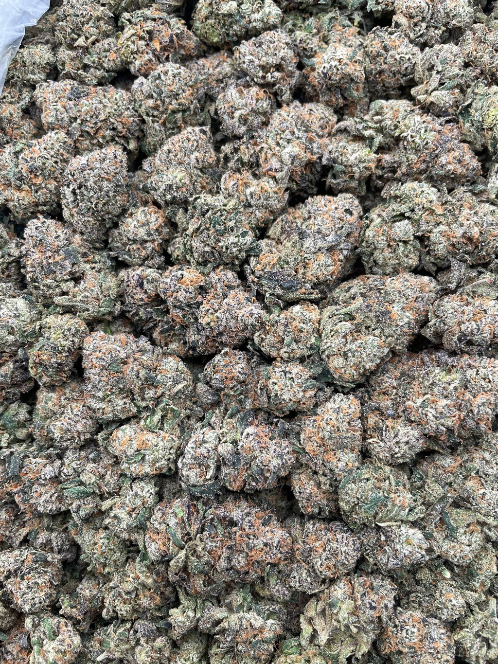 #G10A Candy Pavé (INDOOR)