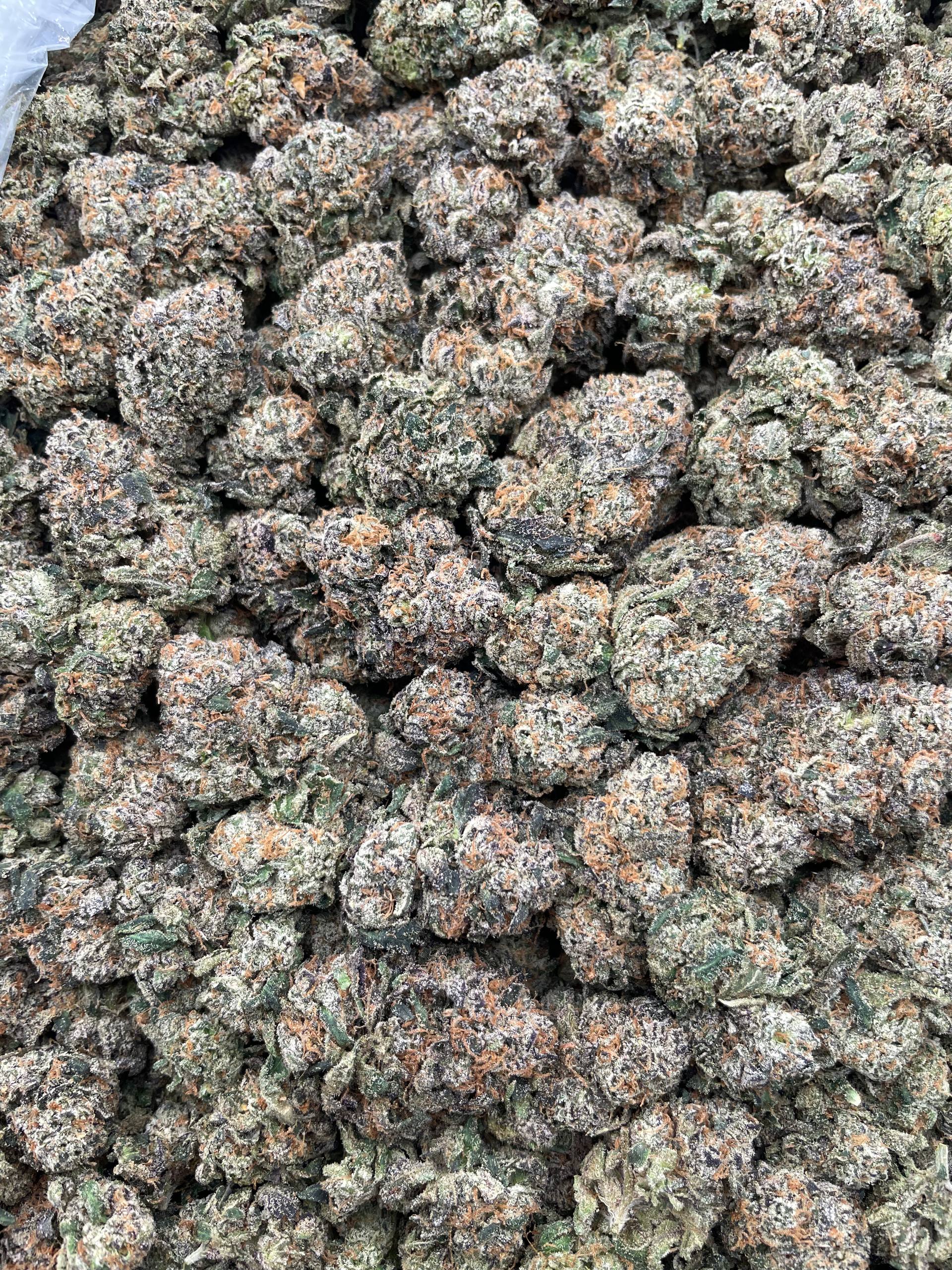 #G10A Candy Pavé (INDOOR)