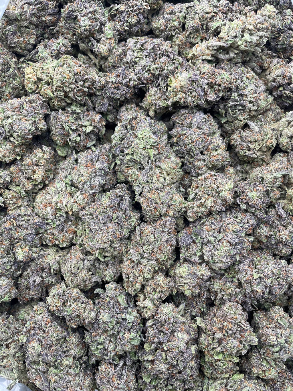 #E20C Galactic Cakez (MIXED LIGHT)