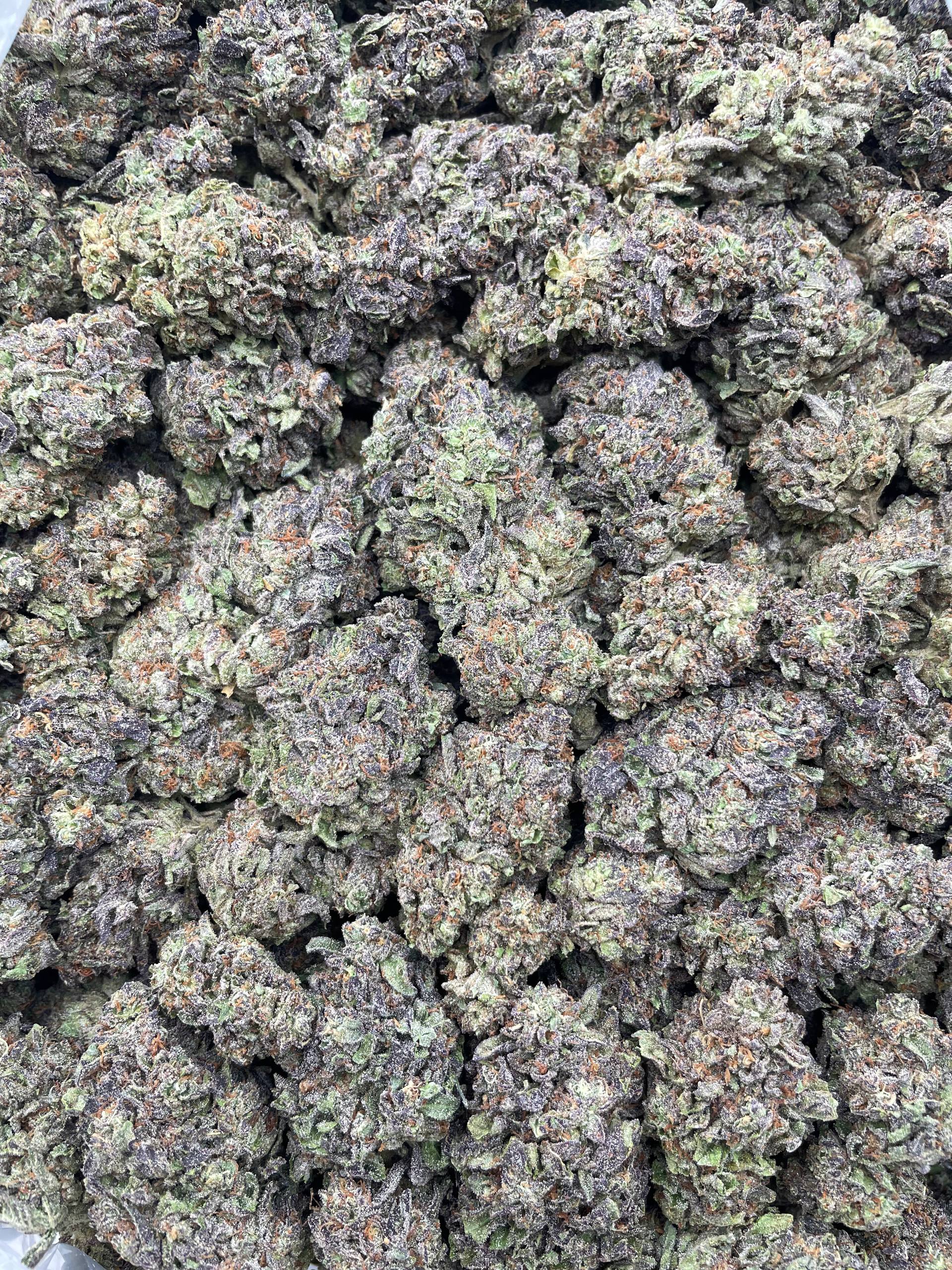 #E20C Galactic Cakez (MIXED LIGHT)