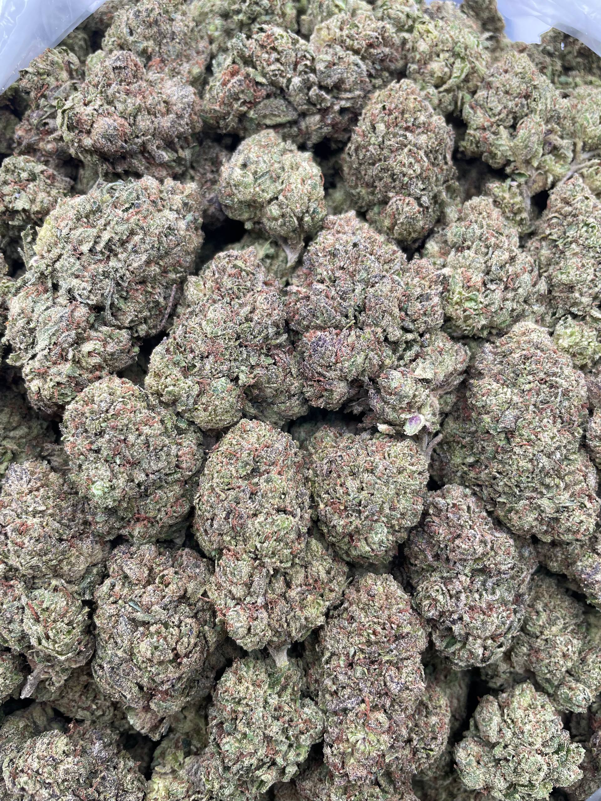 #G23C Candy Mandy (MIXED LIGHT)