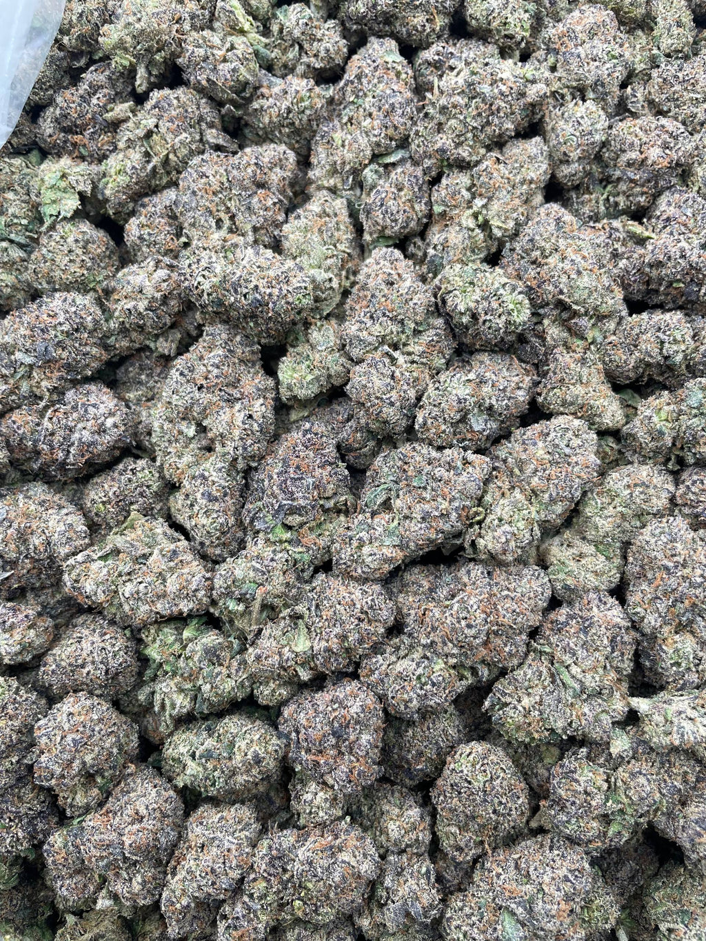 #F38A Blue Vuitton (INDOOR) (LICENSED)