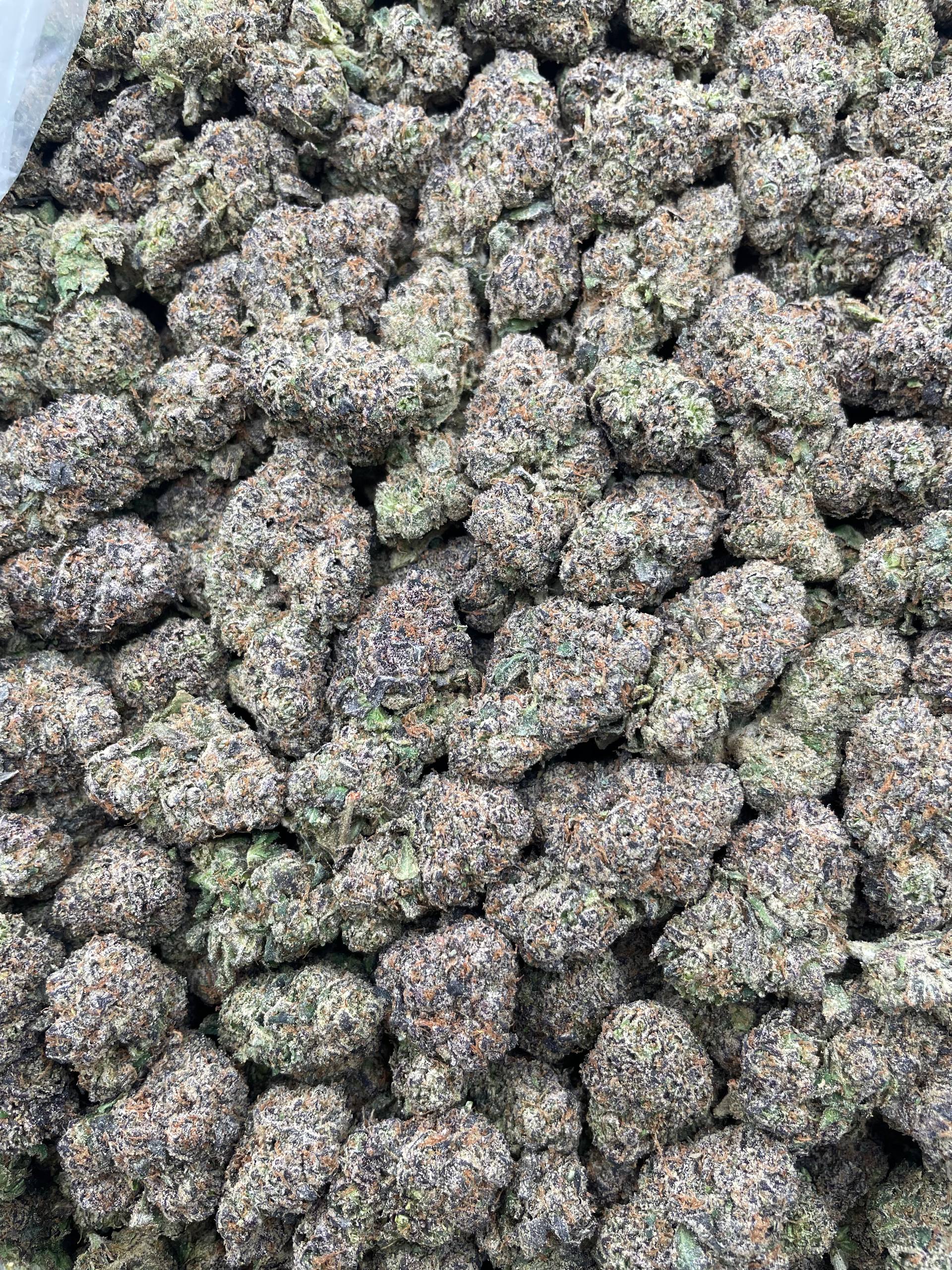 #F38A Blue Vuitton (INDOOR) (LICENSED)