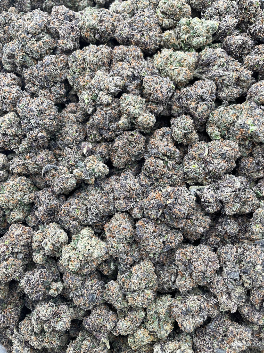 #E14C The Toad x Lemon Cherry Gelato (INDOOR) (LICENSED)