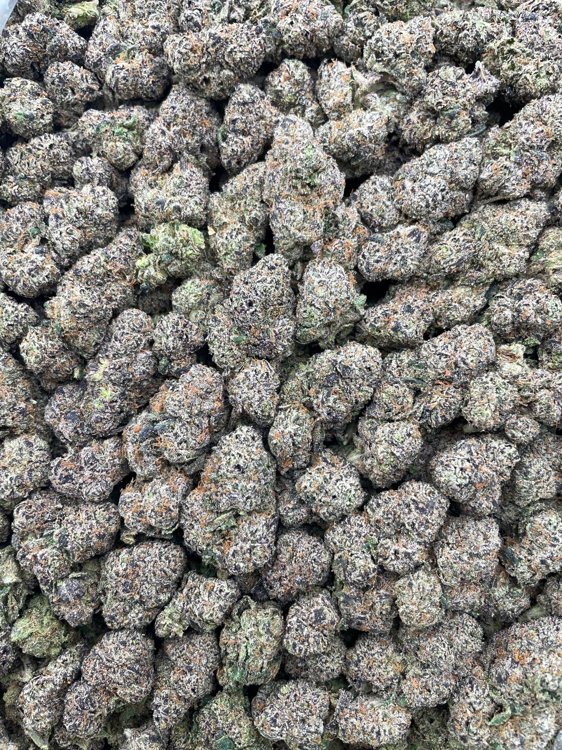 #E6A Cherry Zlushie (INDOOR)