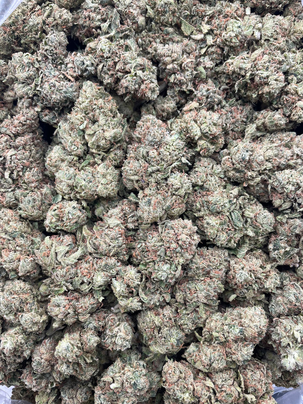 #F6A Sour Strips (DEP)
