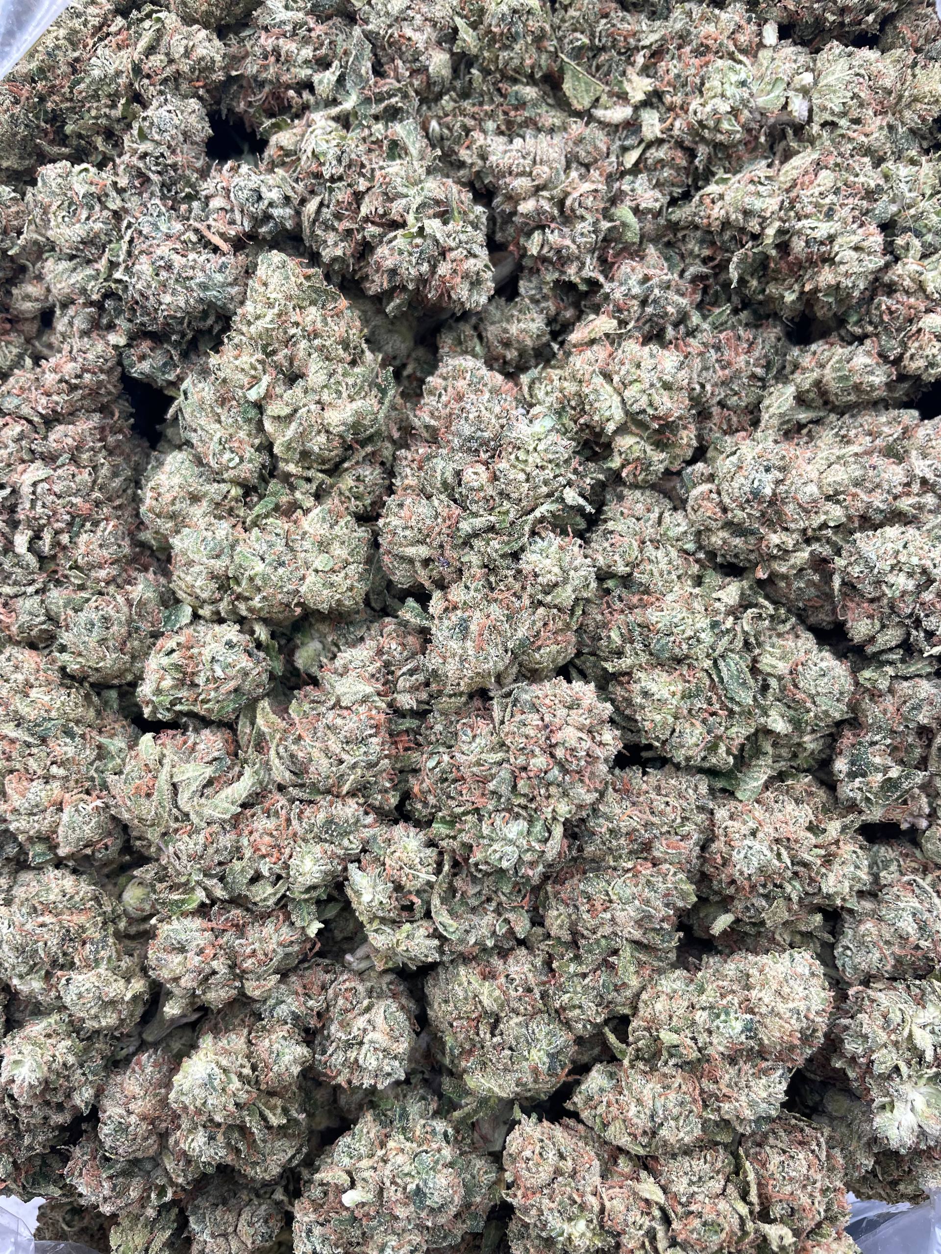 #F6A Sour Strips (DEP)