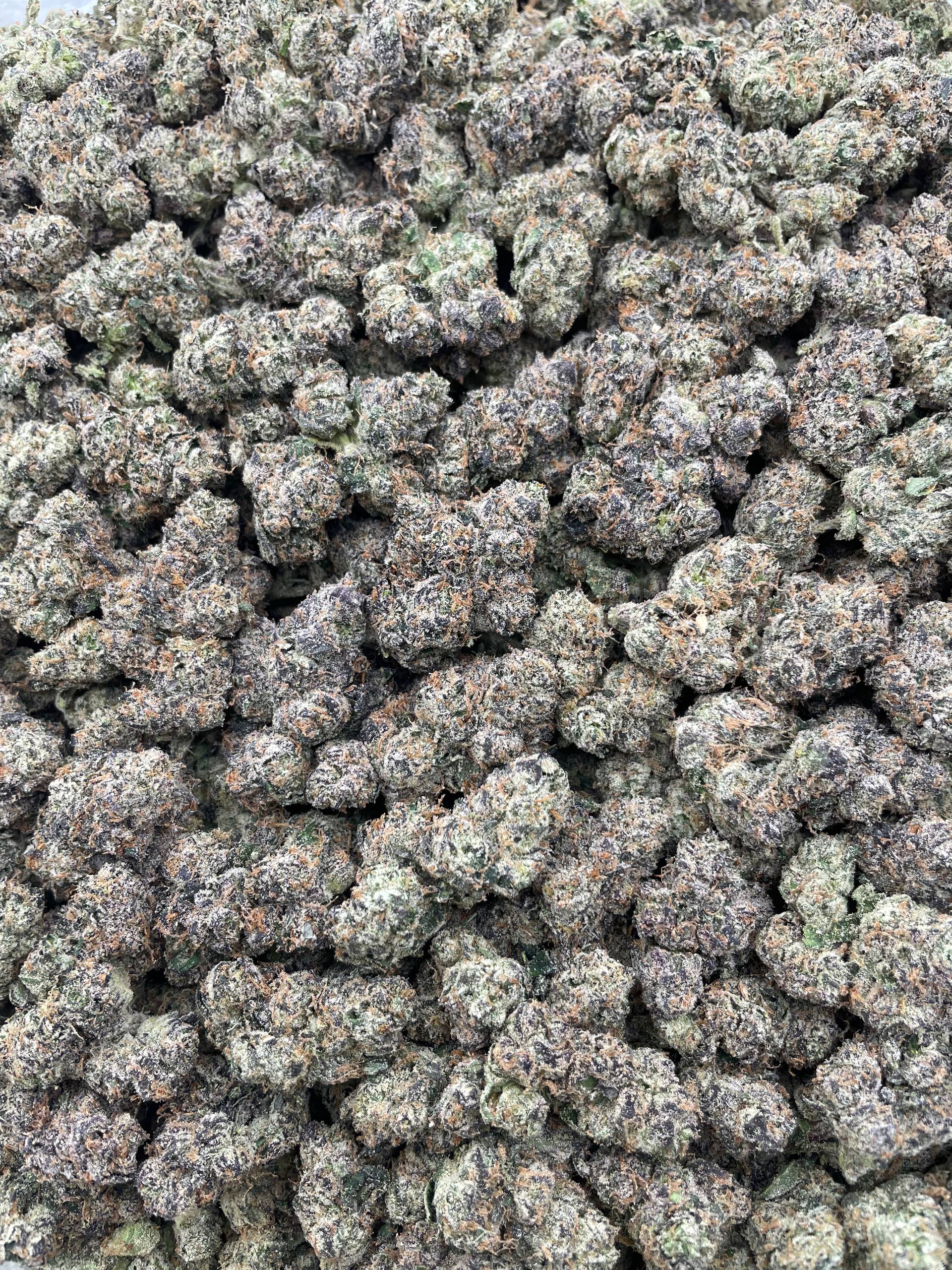 #F23C Zalenciaga Candy (INDOOR) (LICENSED)