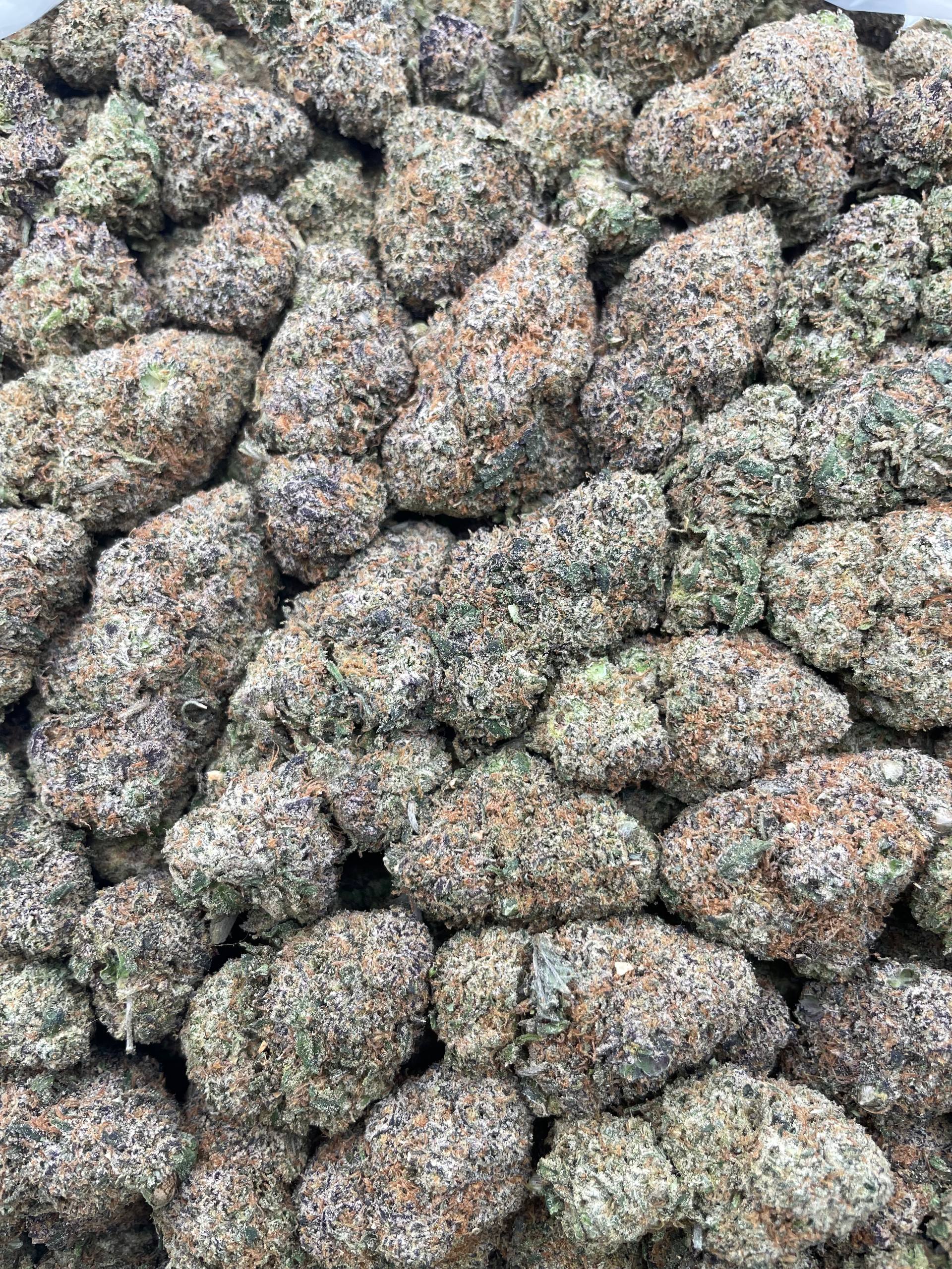 #G24B Poprox (MIXED LIGHT) (SEEDED)